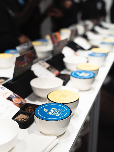 A row of specialty coffee cupping bowls on a white surface at Mospresso