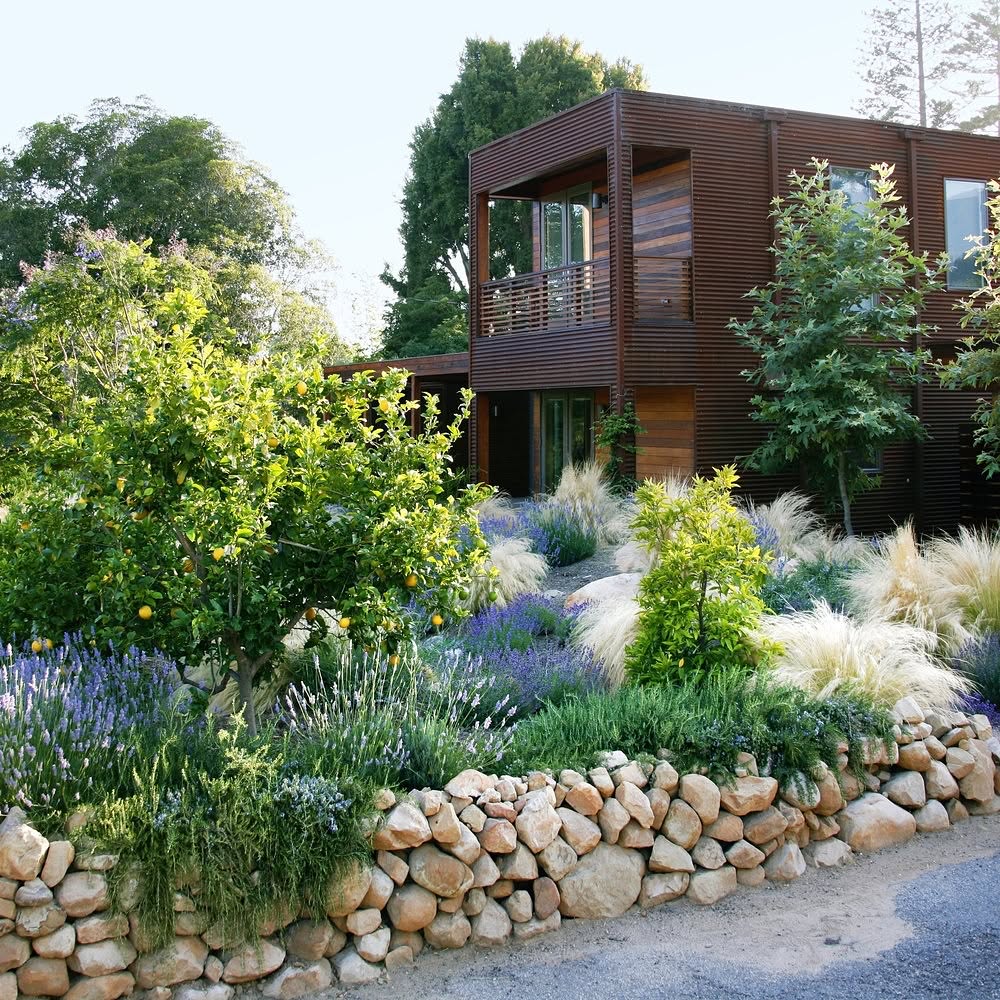 Modern sustainable building surrounded by a lush native garden with lavender and ornamental grasses