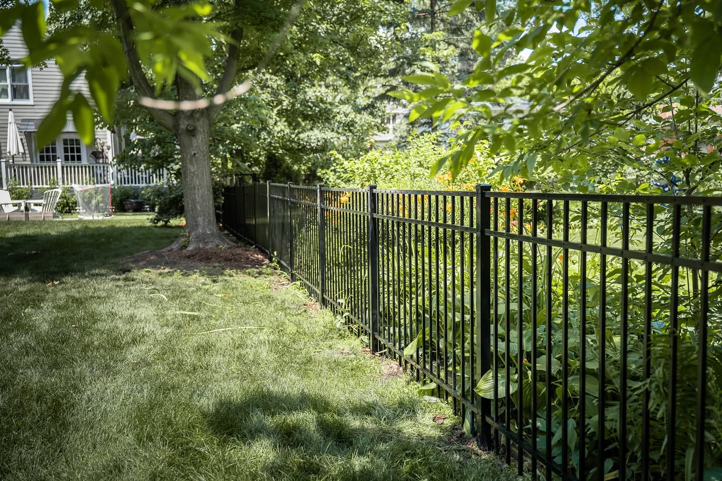 Black steel fence running along a wide green lawn with trees overhead