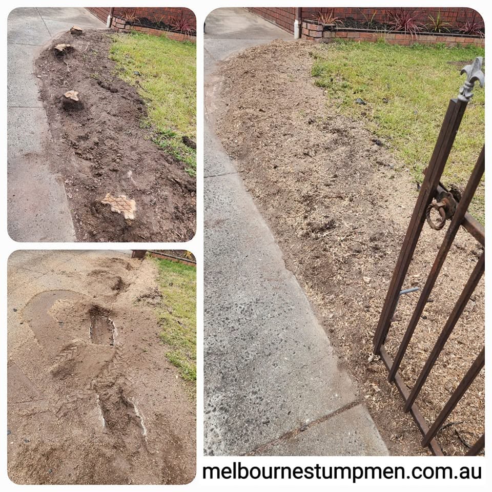 Garden bed cleared and mulched along a footpath