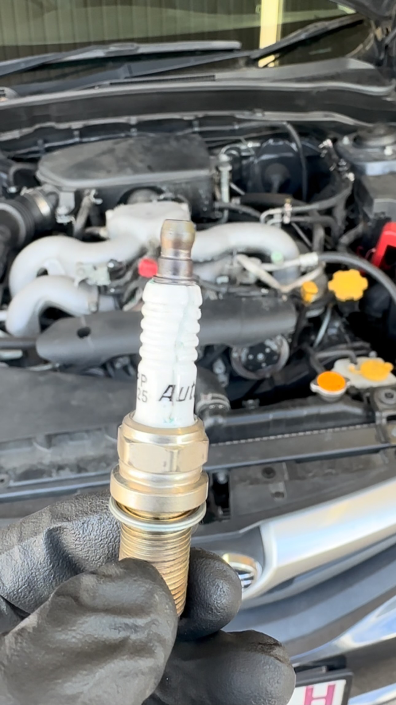 Close-up of a spark plug being held above an open vehicle engine bay during a general vehicle service