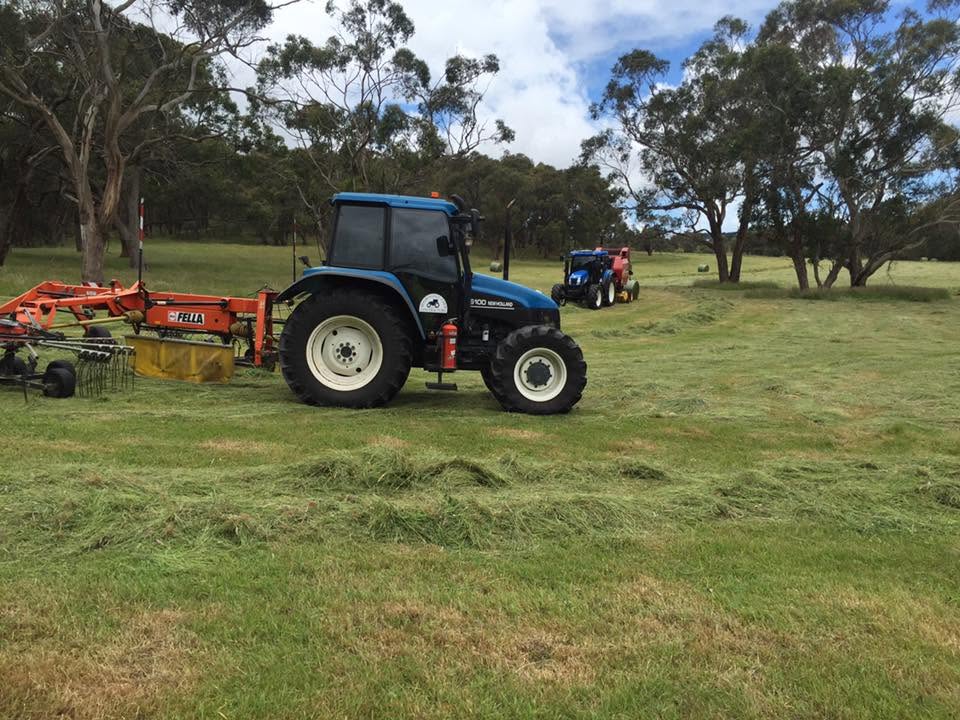 Blue New Holland tractor with orange Fella rake attachment working across a lush green paddock, another tractor baling in the background