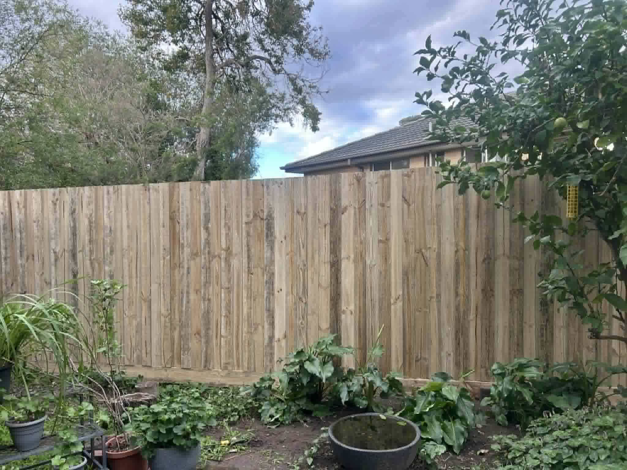 Timber paling fence installation by K and Co Fencing with garden backdrop