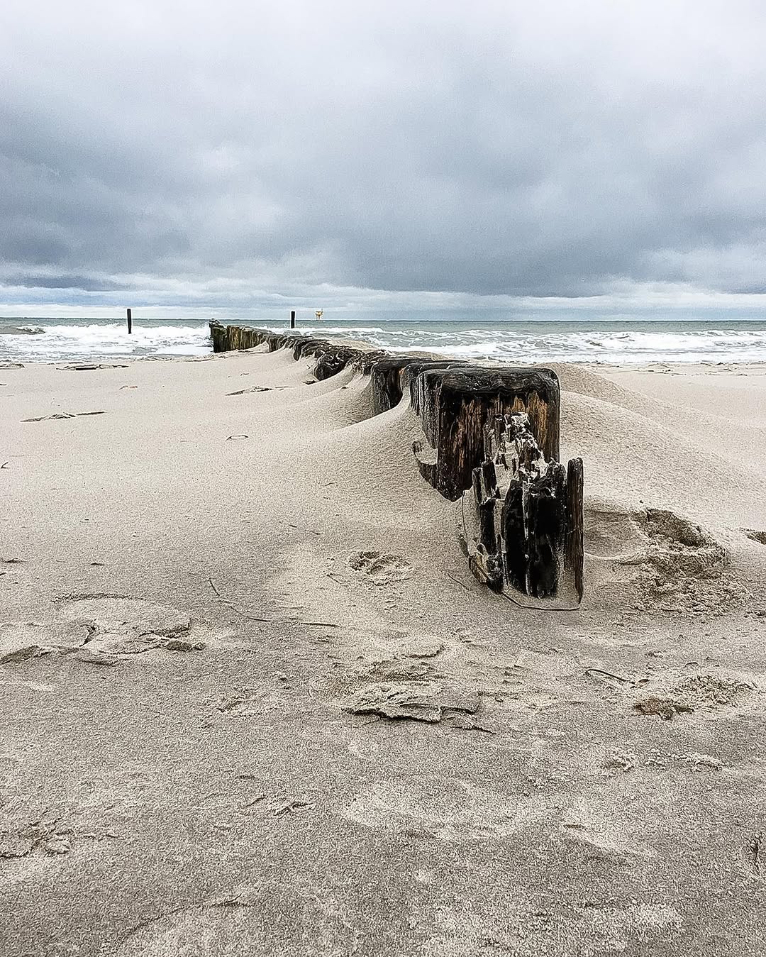 Moody beach landscape with wooden posts — coastal photography
