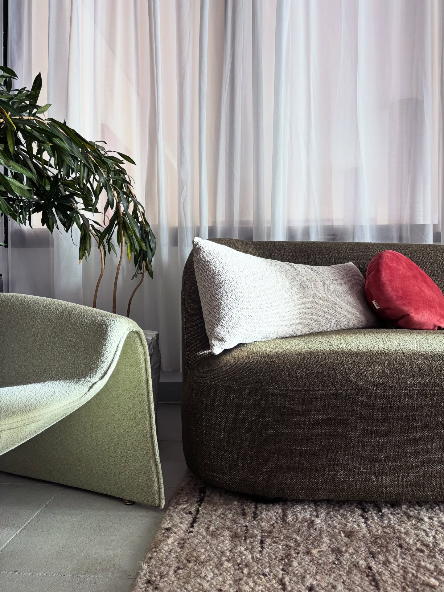 Soft green sofa and armchair in front of sheer curtains with a leafy plant