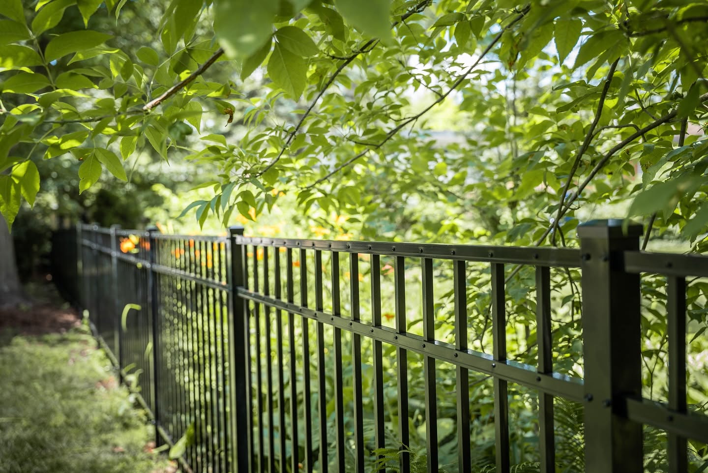 Black steel fence running through a sunlit garden with leafy canopy overhead