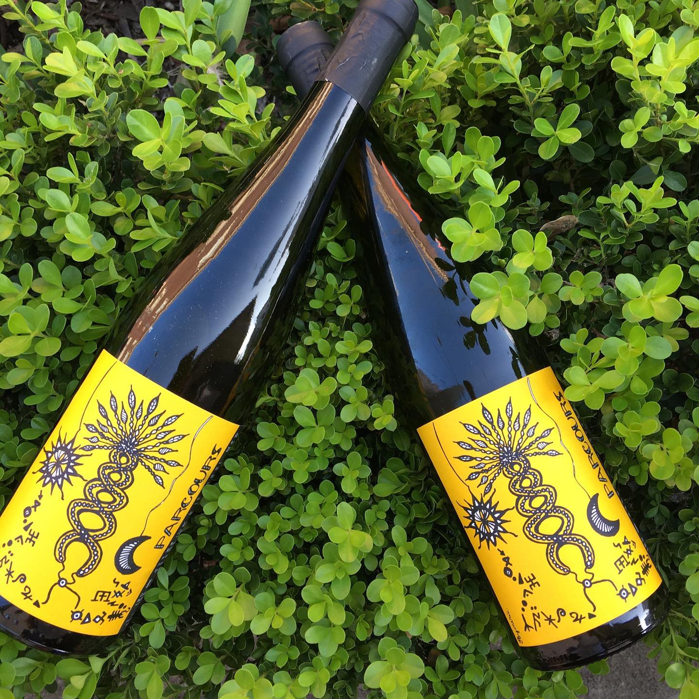 Two bottles of wine with yellow illustrated labels resting on a green hedge