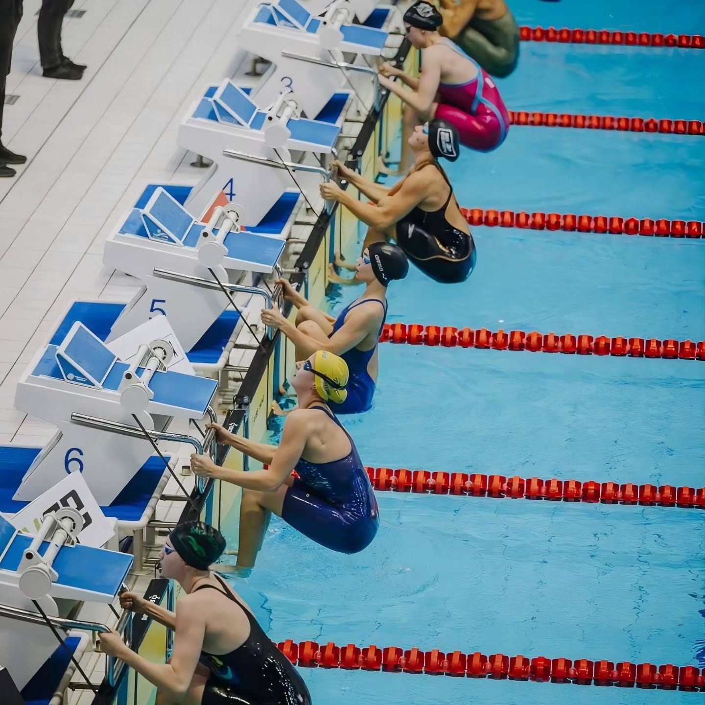 Swimmers positioned at starting blocks in a competition pool, viewed from above
