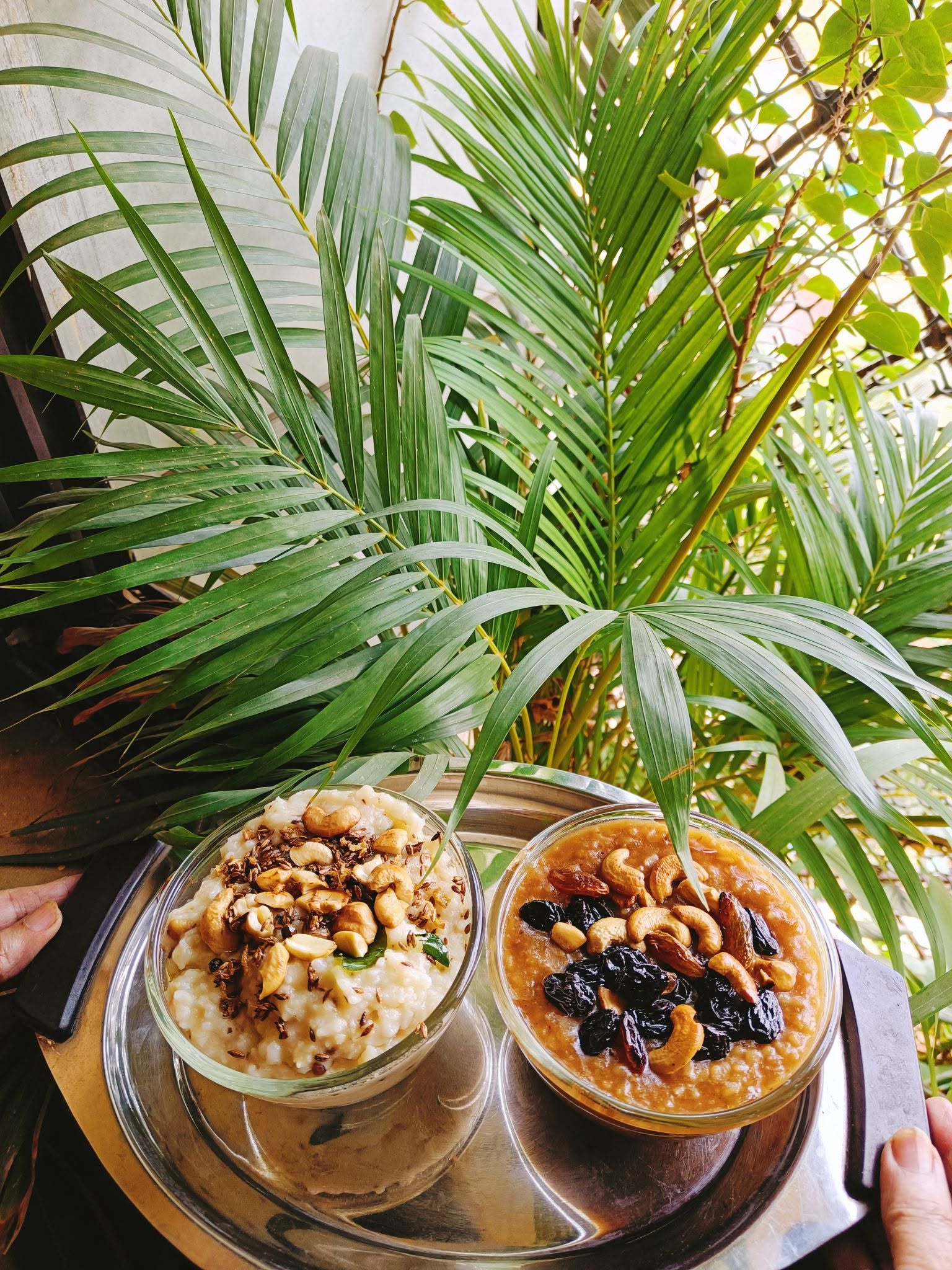 Two bowls of kheer (rice pudding) topped with cashews and raisins on a silver tray surrounded by palm leaves
