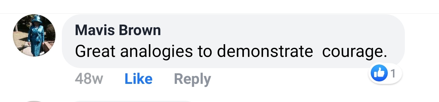 Mavis Brown Facebook comment: Great analogies to demonstrate courage.