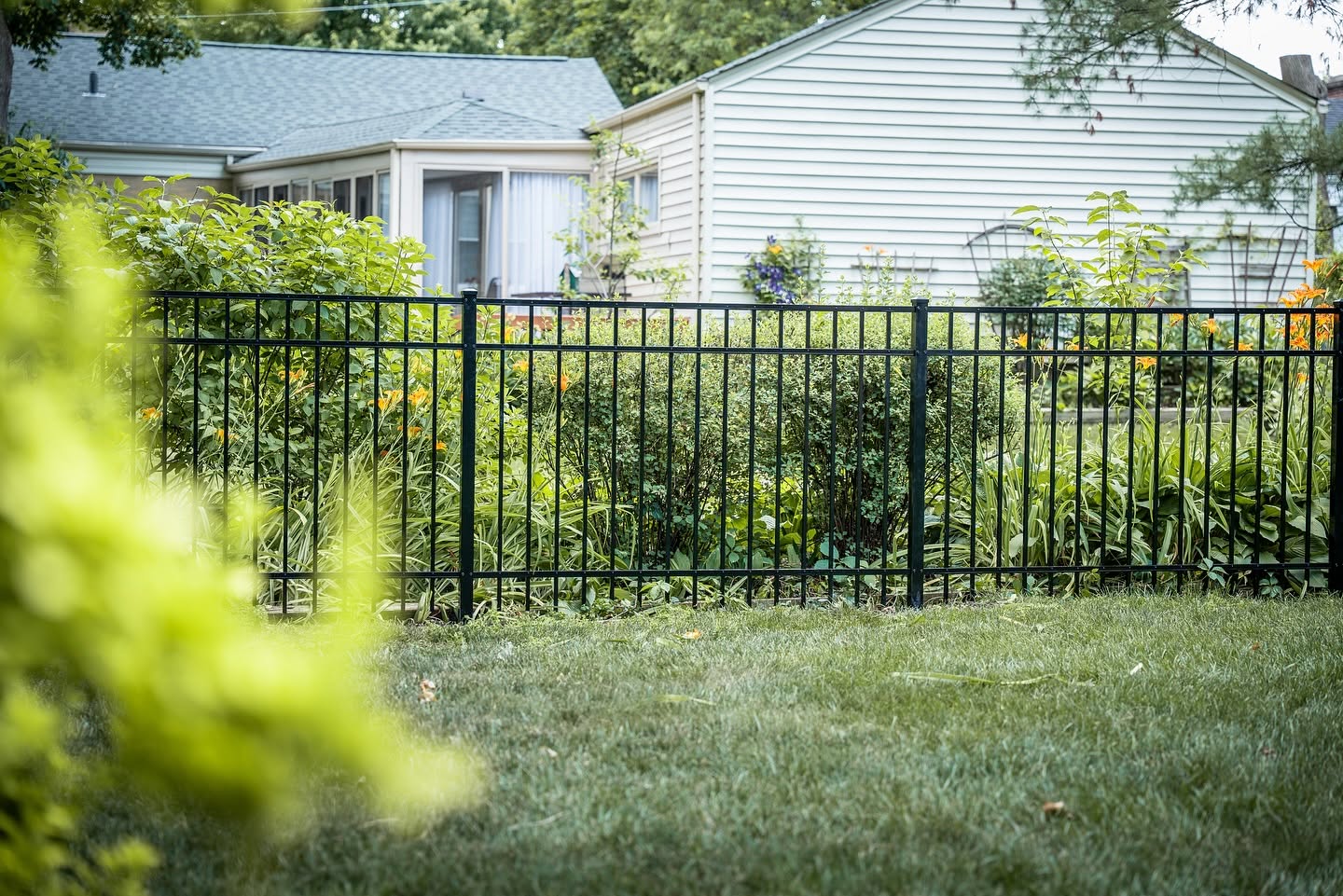 Black steel fence defining a suburban backyard boundary with lush garden