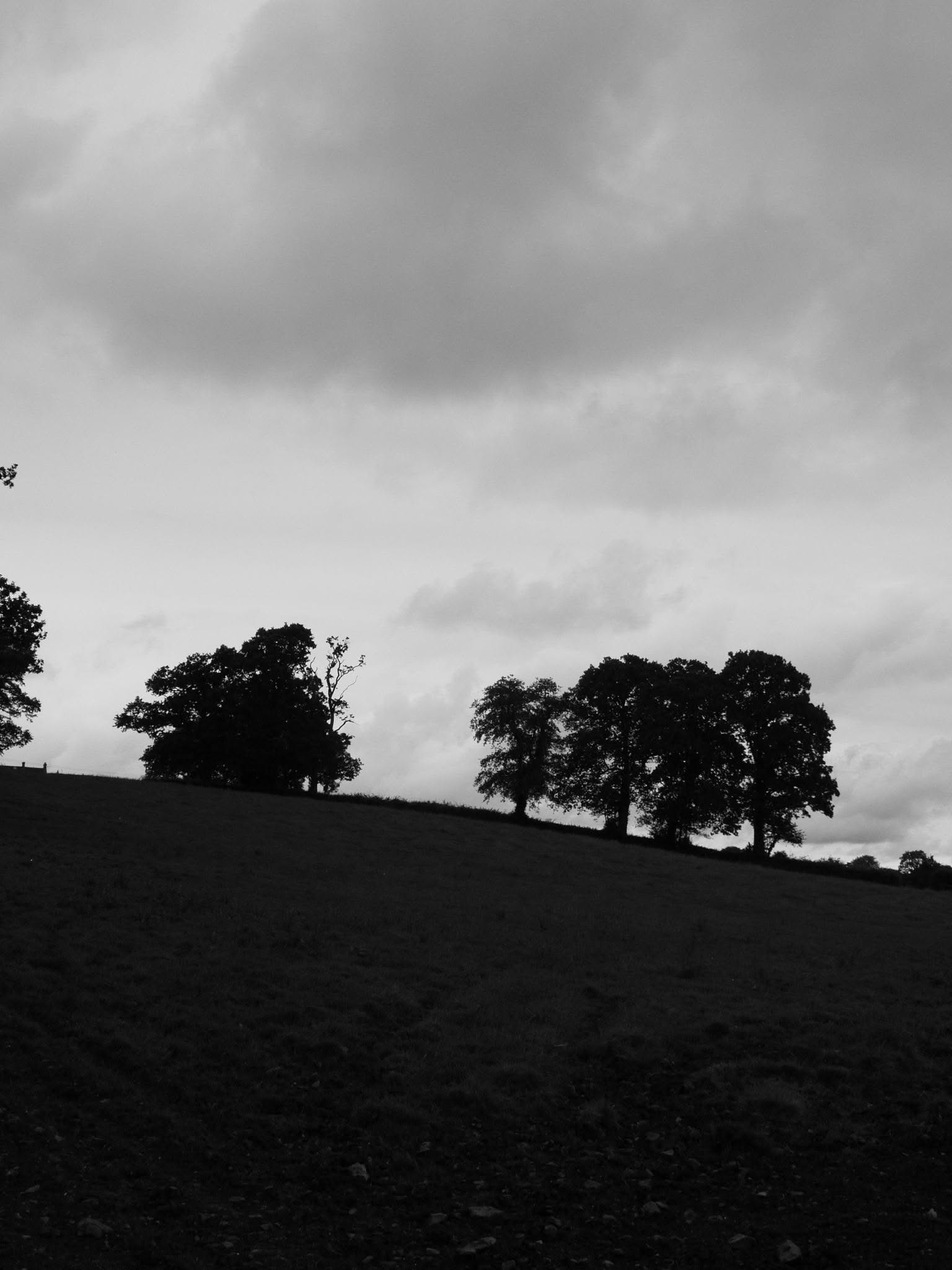 Black and white silhouette of trees on a hillside against a dramatic cloudy sky