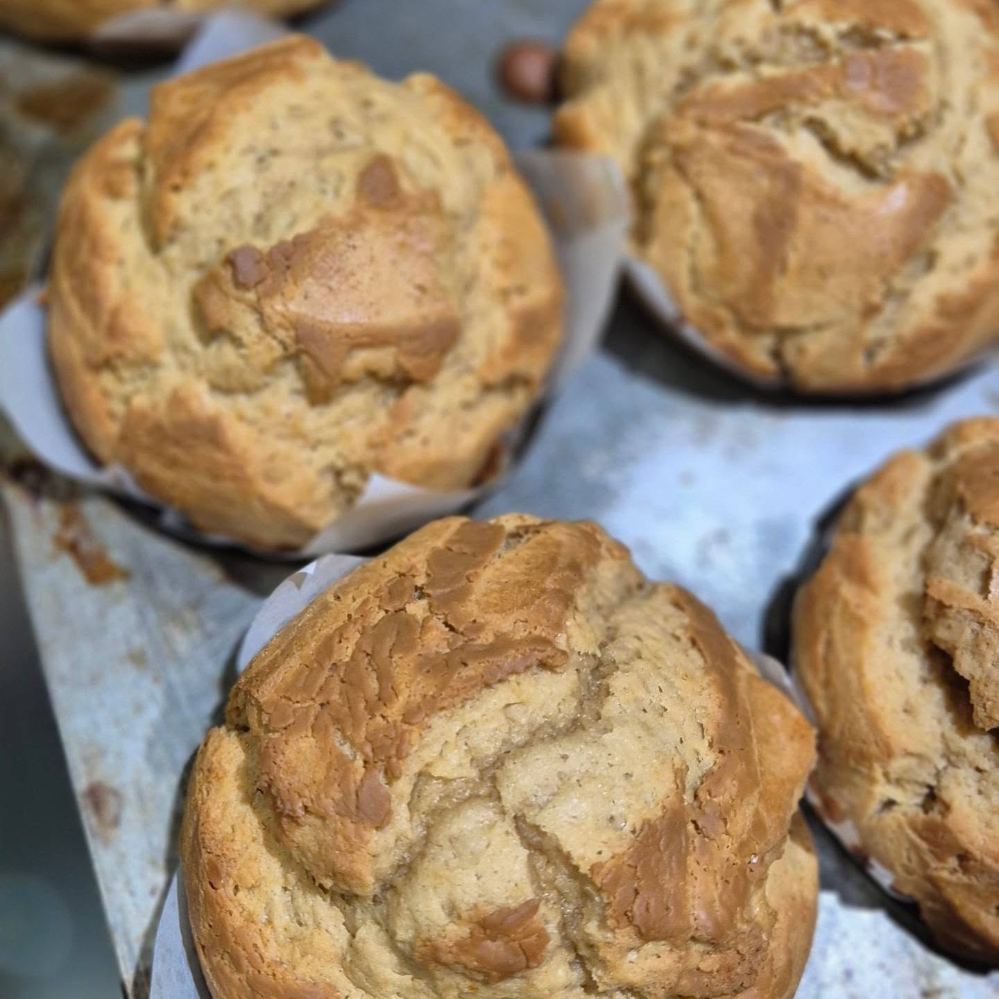 Freshly baked muffins cooling in a tray at Schwabs Galley