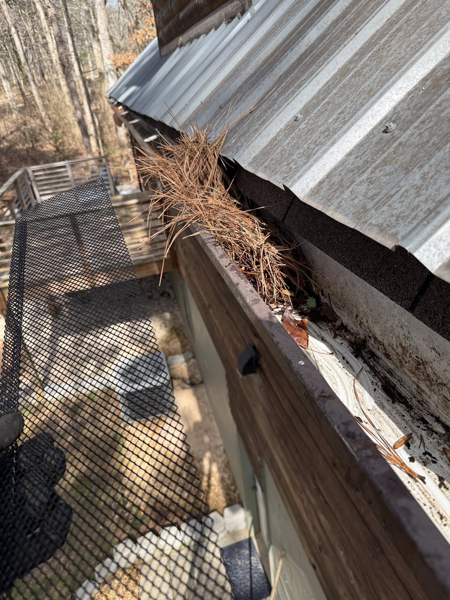 Close-up view of debris-blocked gutter showing pine straw and debris build-up
