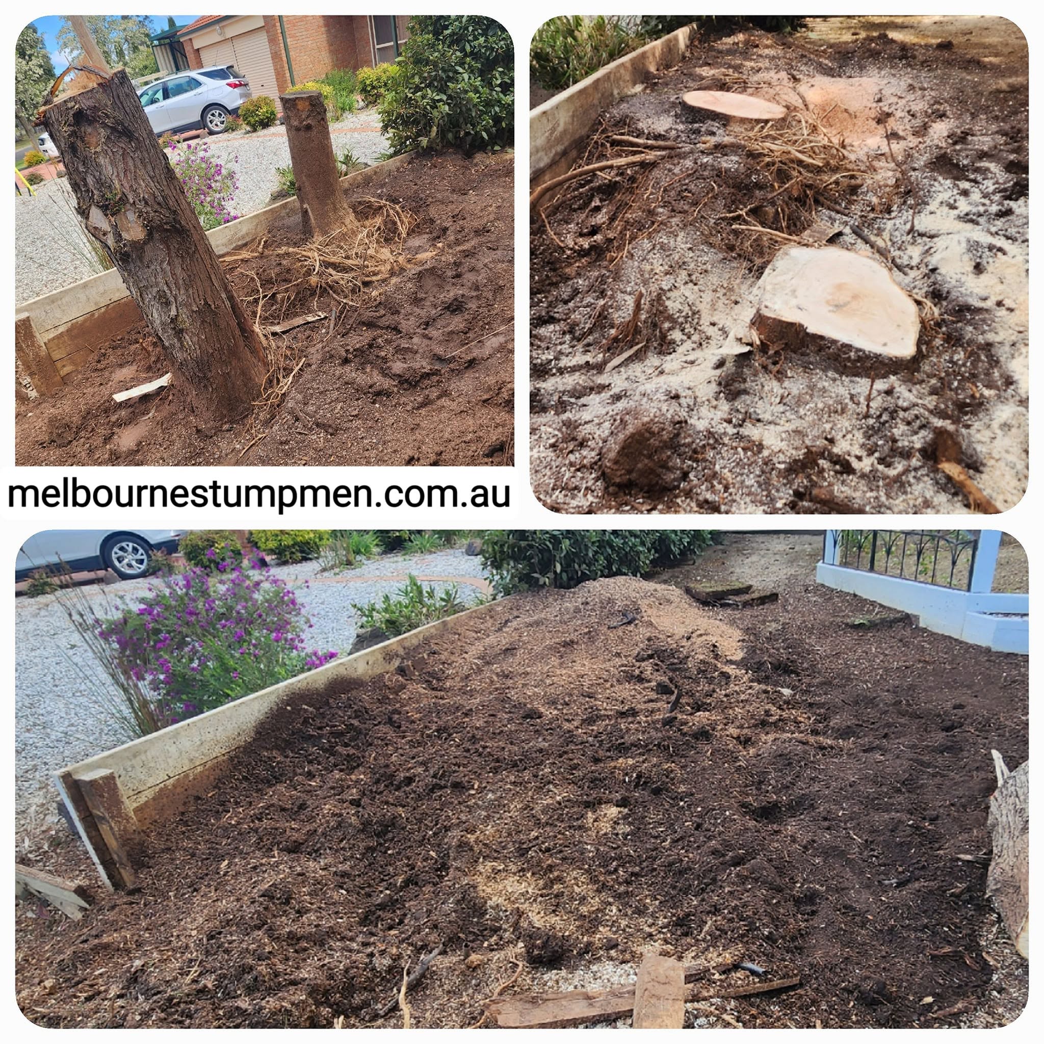 Front garden bed cleared of tree stumps and mulched