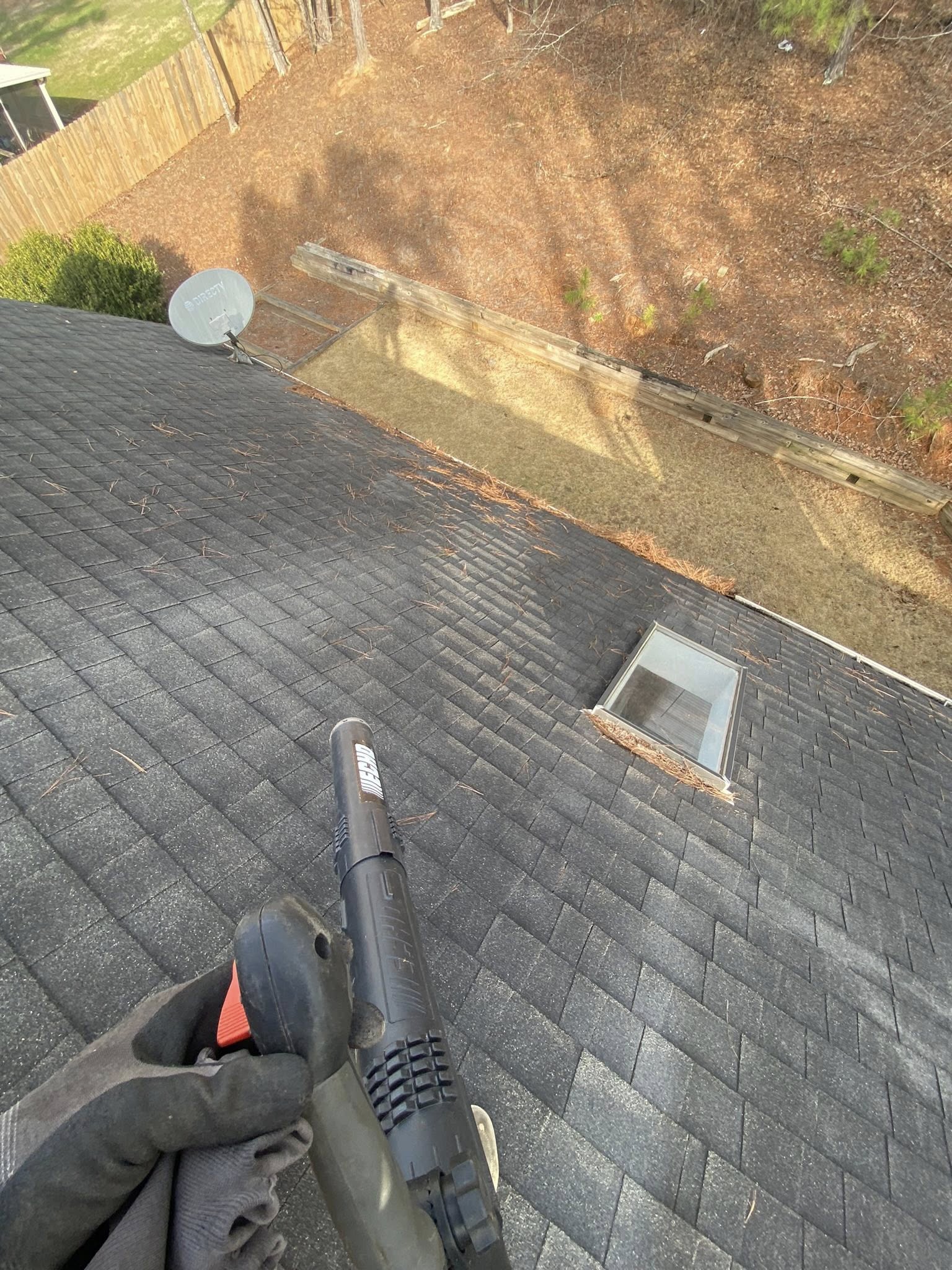 Technician using a blower on a dark shingle roof to clear pine straw beside two skylights