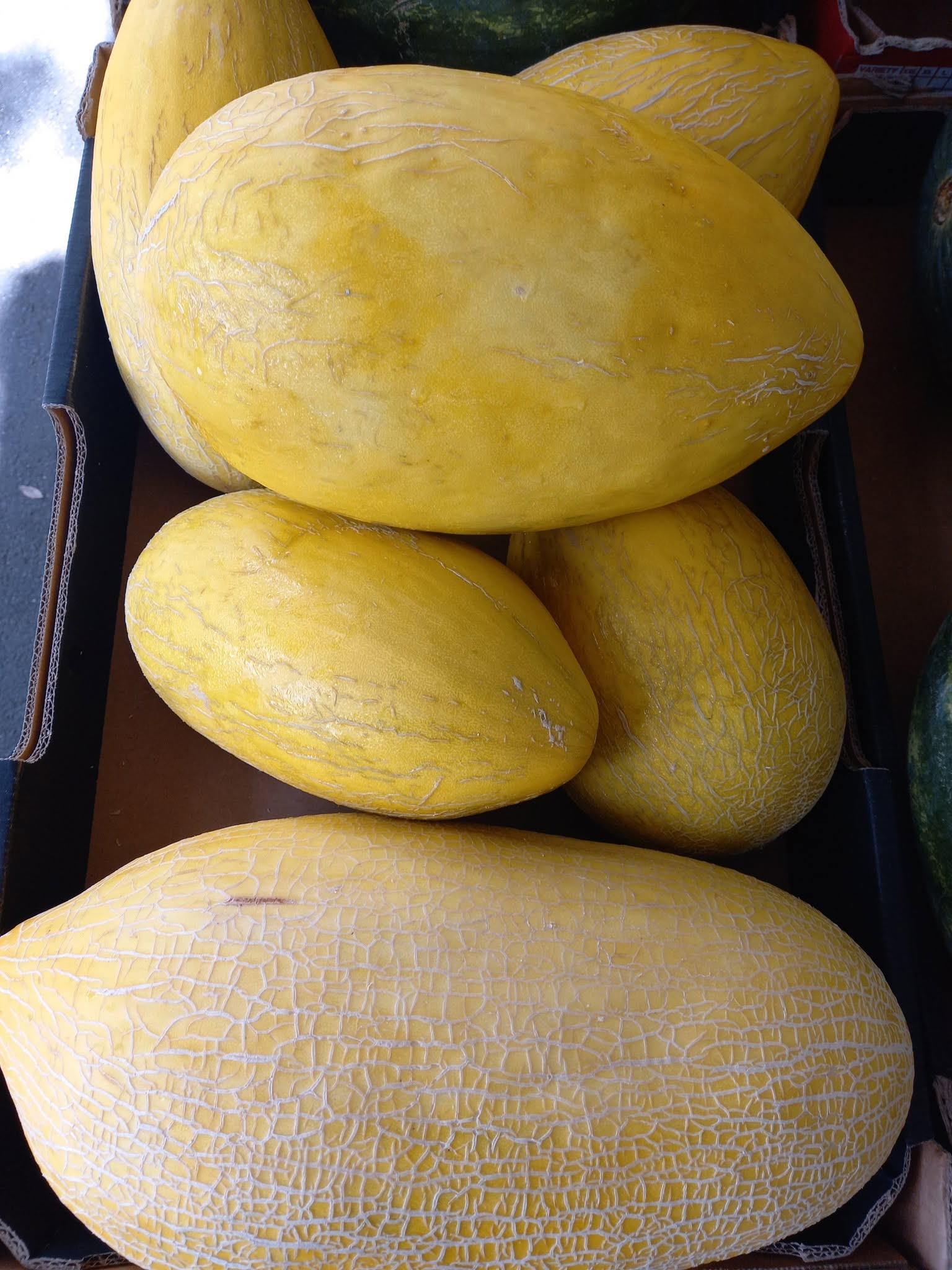 Fresh yellow melons displayed in a box