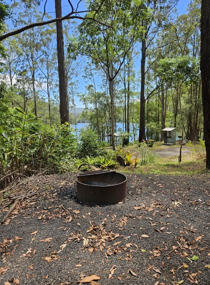 Designated firepit area at Bells Bay Camp Ground with Toonumbar Dam visible through the trees