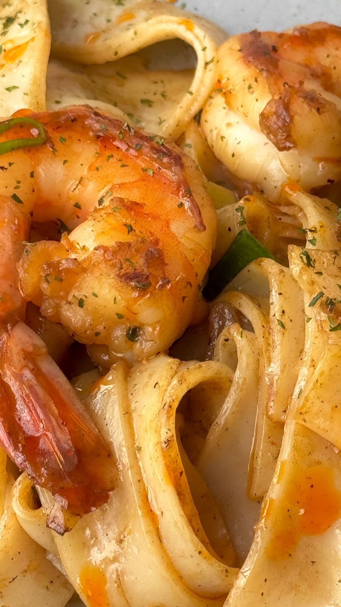 Close-up of shrimp pasta noodle dish with rich creamy sauce at Little Elm Cafe