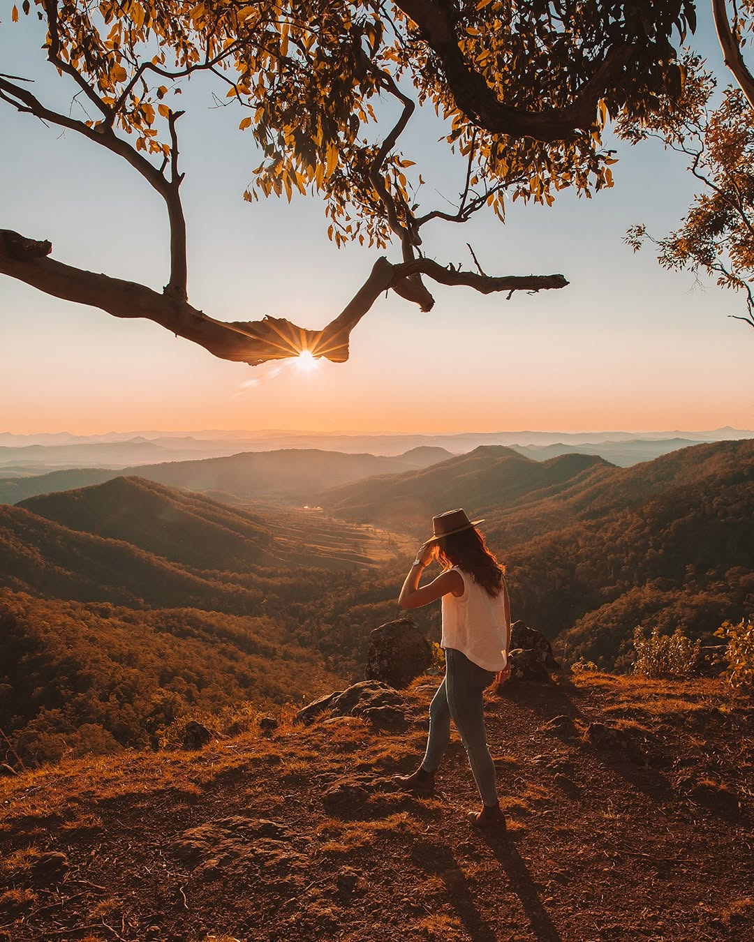 Golden sunset over the rolling green mountains and valleys of the Scenic Rim, Queensland