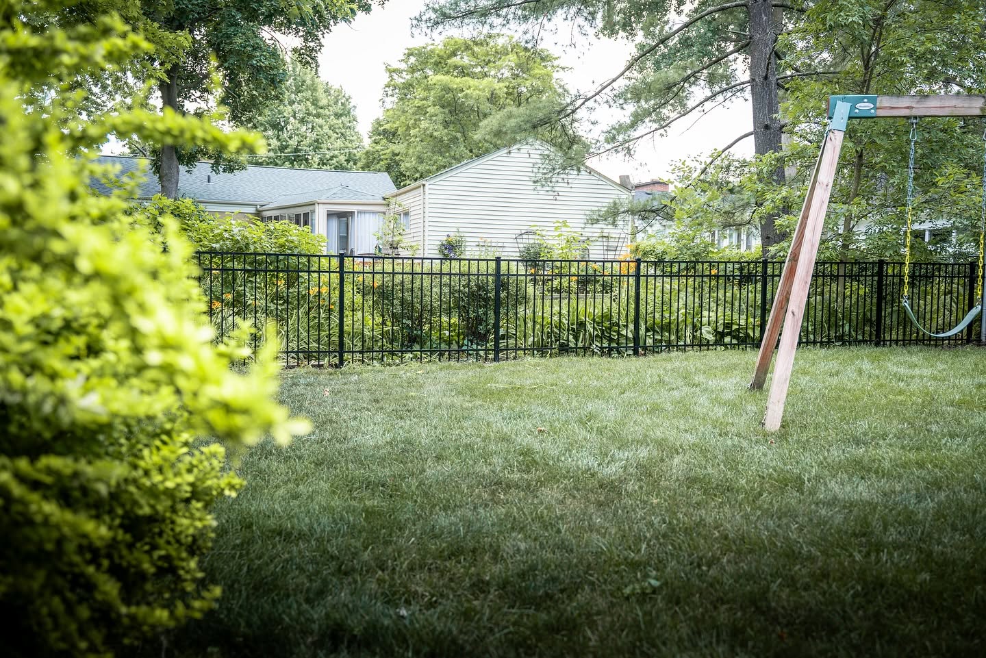 Wide backyard view with black steel fence along the property line and green lawn