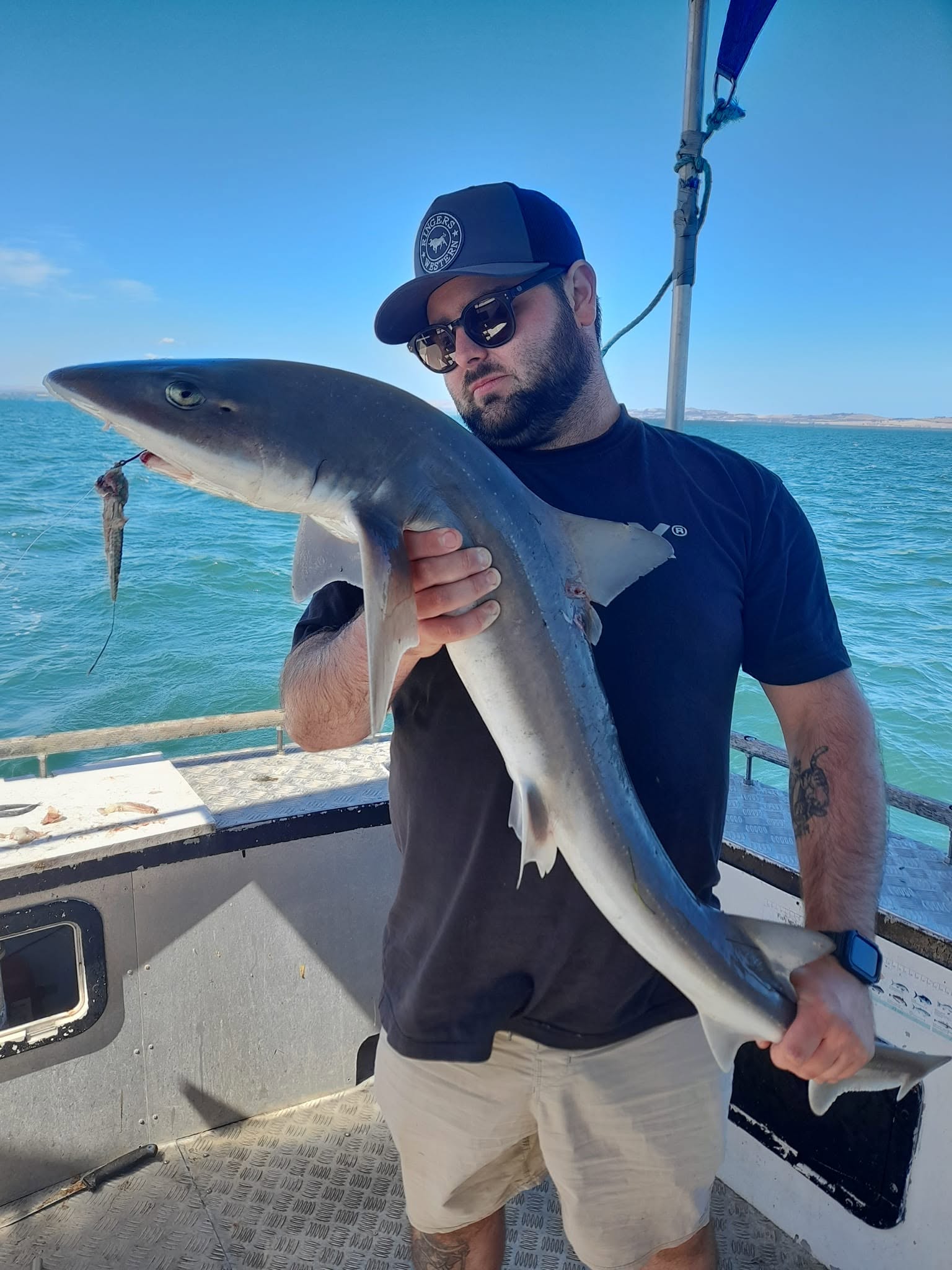 Adult angler holding a large gummy shark caught on Western Port Bay