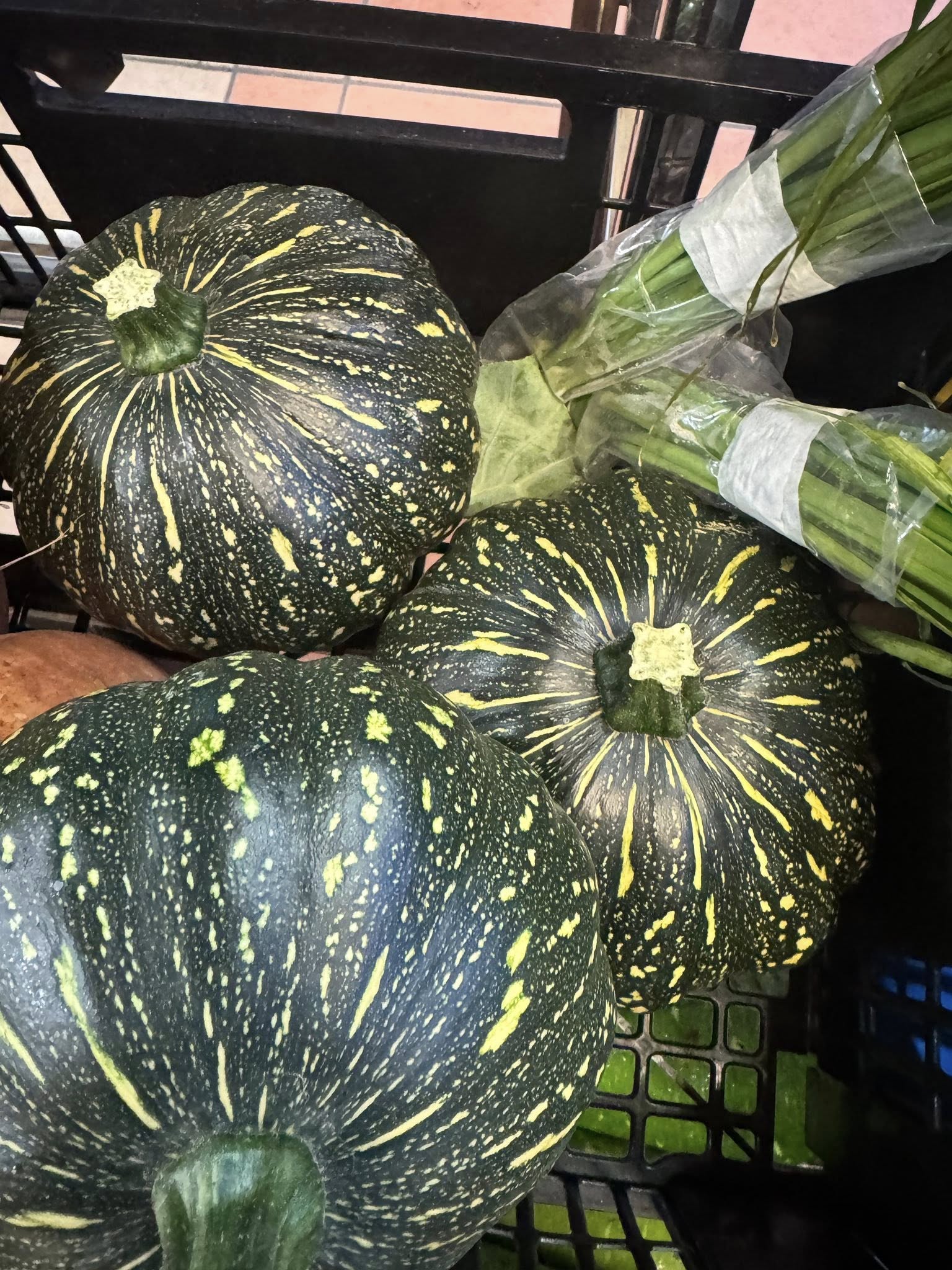 Fresh round pumpkins and spring onions in a crate at Nepalese Indo Bazaar