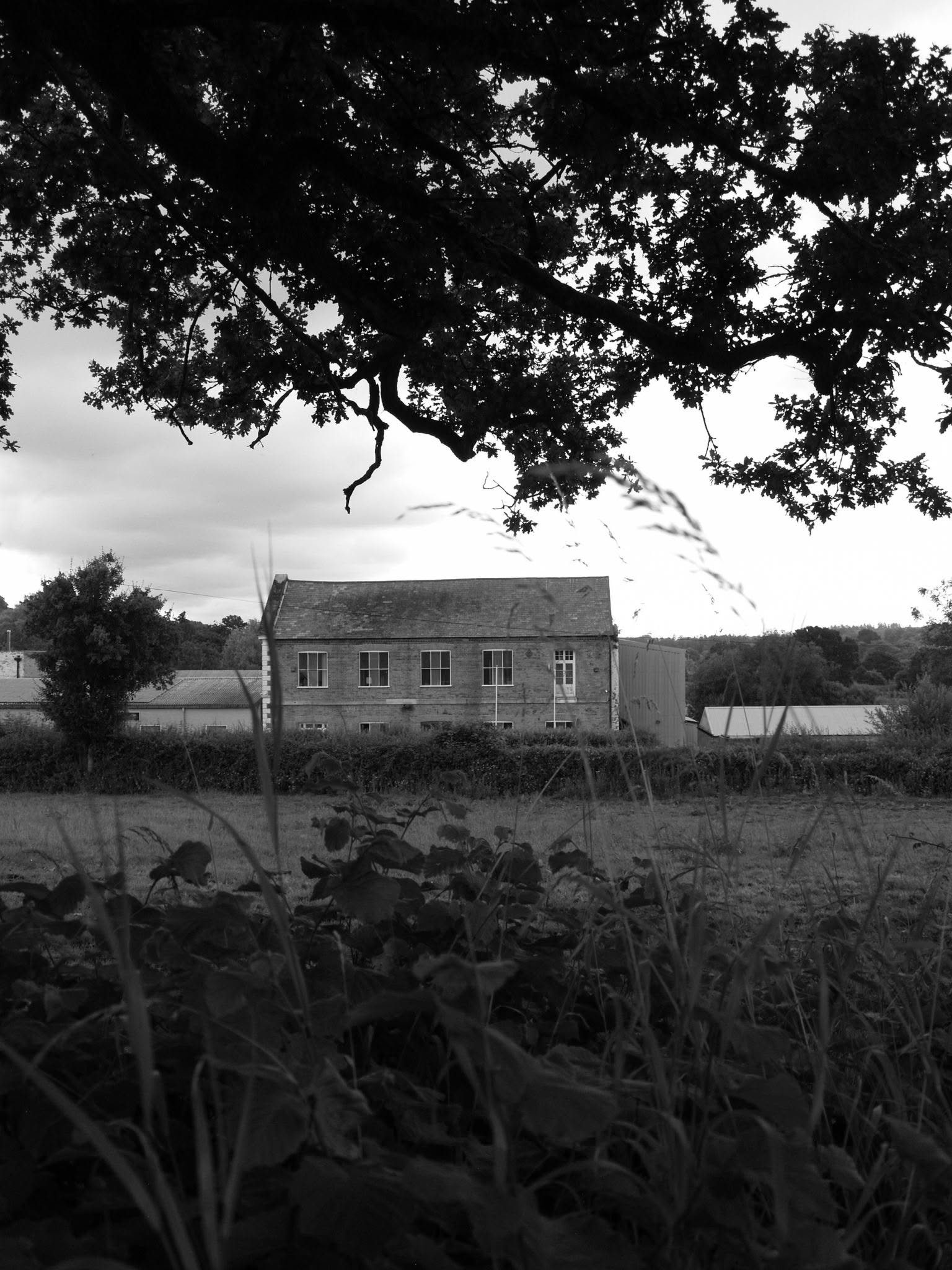Black and white photograph of an old brick building framed through overhanging tree branches