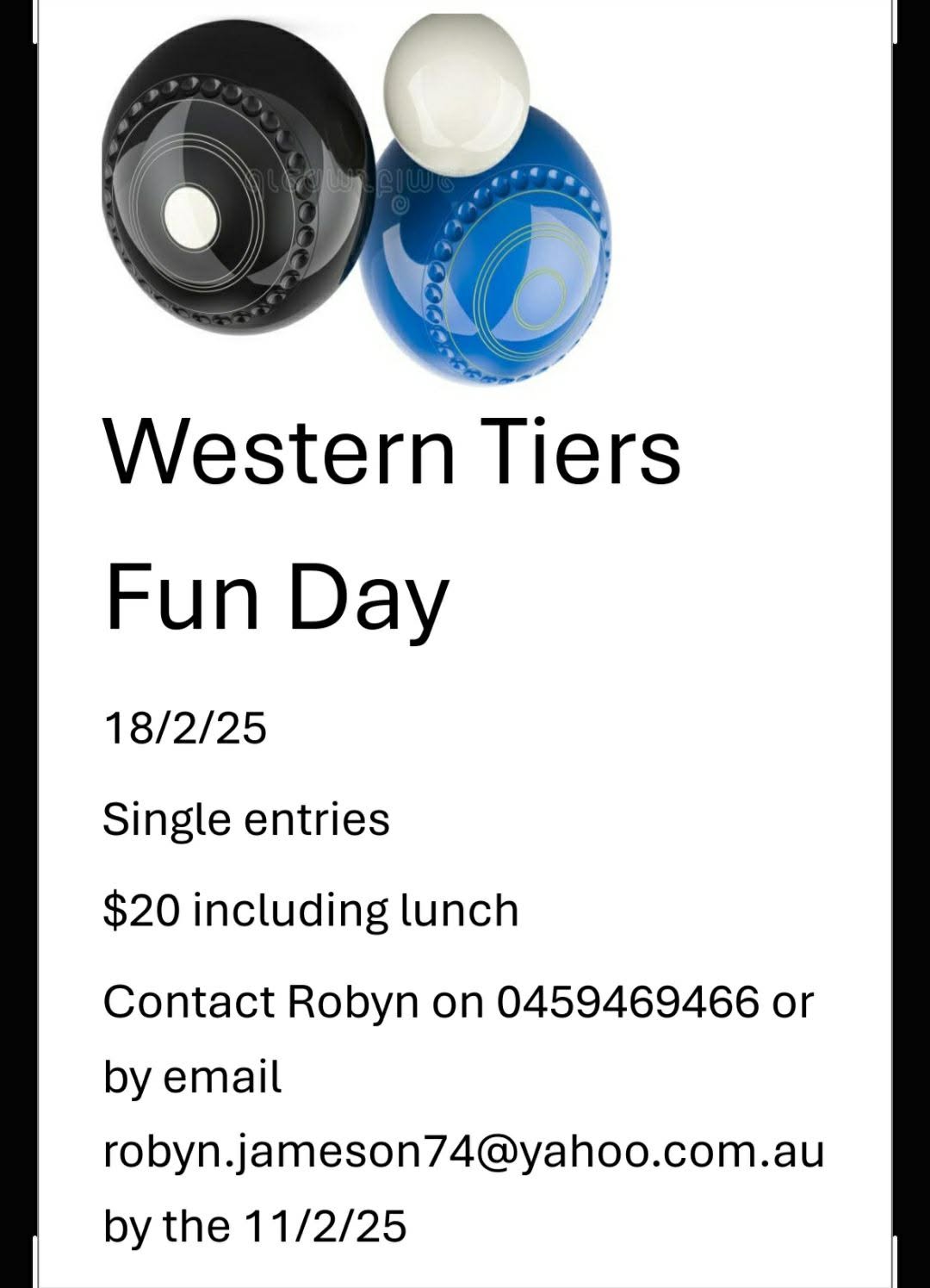 Indoor bowls equipment — two black and blue bowls