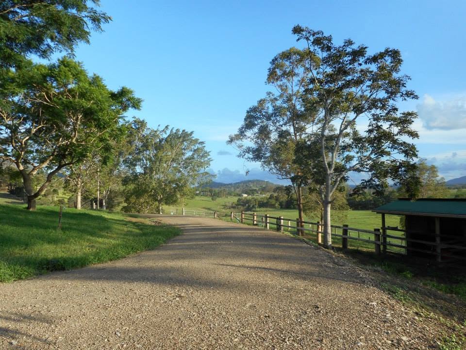 Farm entrance driveway with wooden fence and green shed at Dayboro Valley Agistment