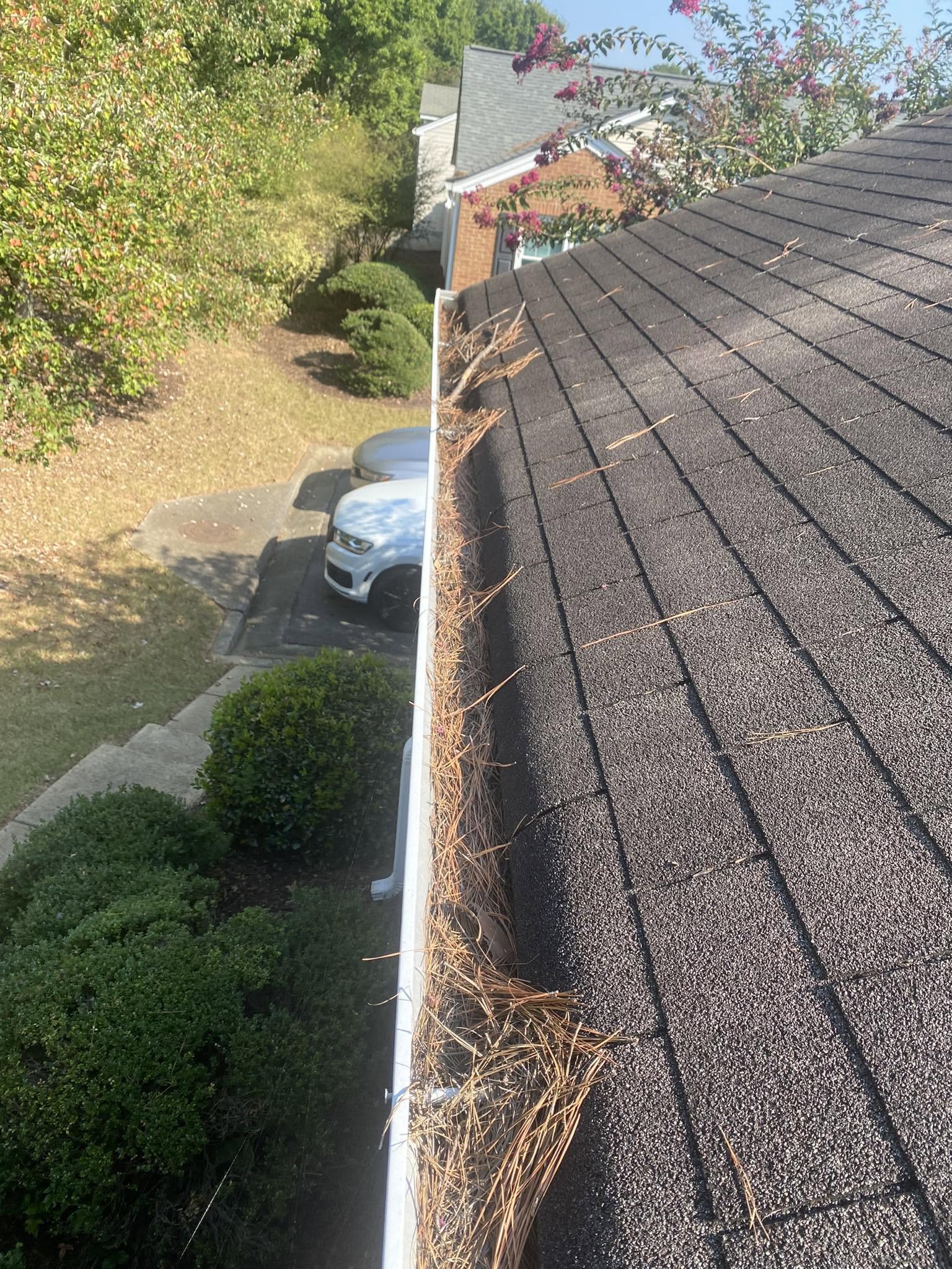 Pine straw and twigs overflowing from a white aluminium gutter on a dark shingle roof