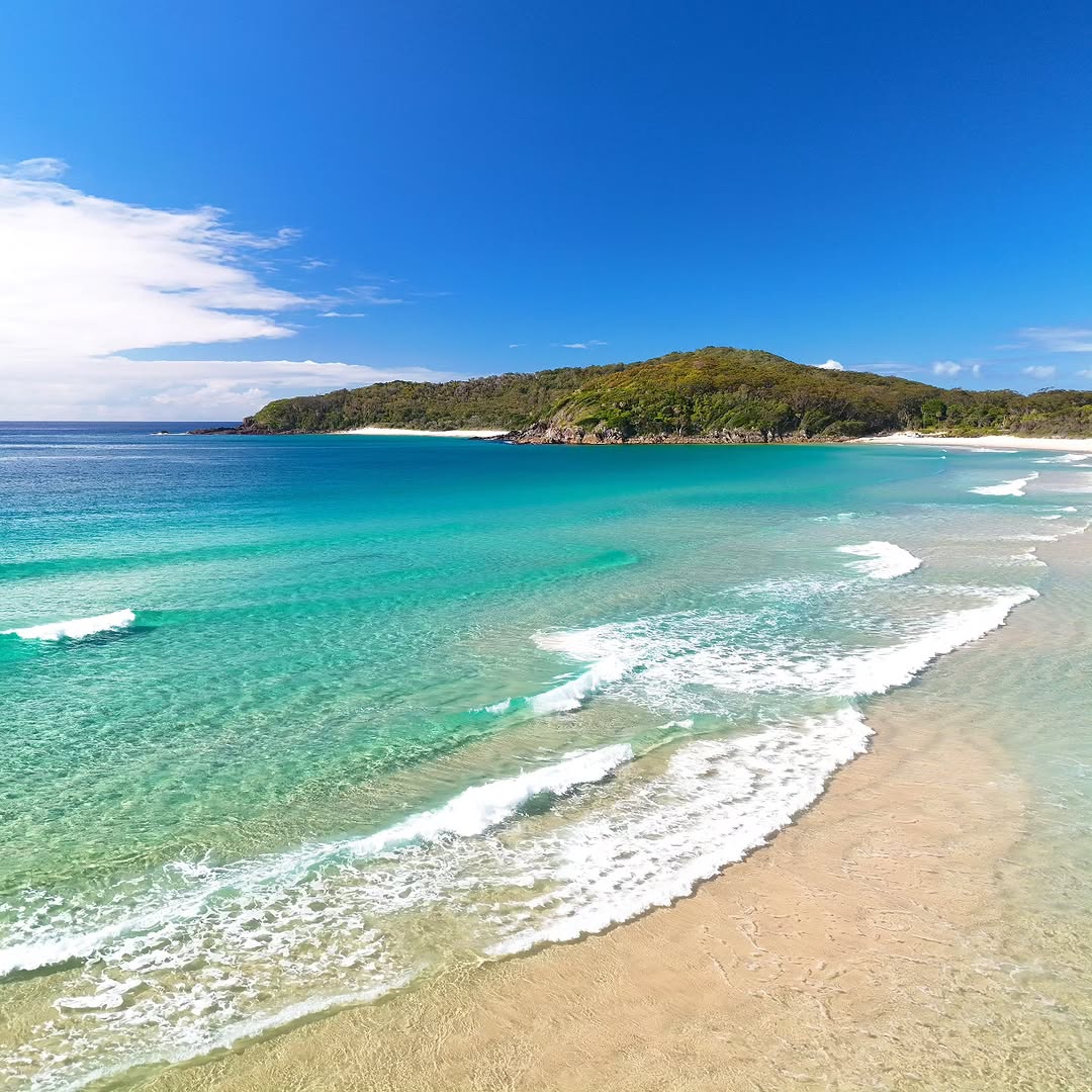 Aerial drone photograph of a turquoise bay and forested headland on the NSW Mid North Coast