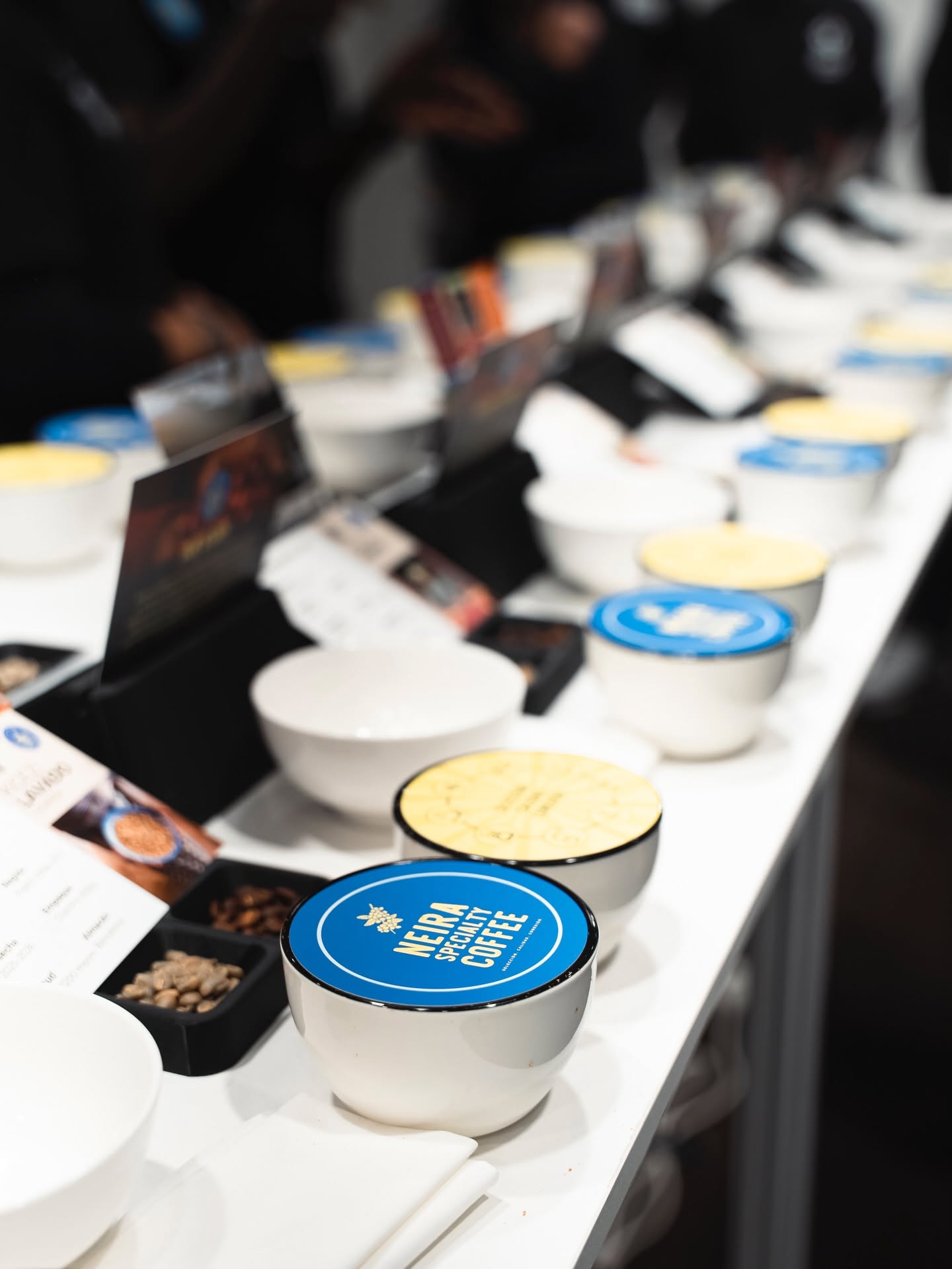 Rows of specialty coffee cupping bowls with coffee tasting labels