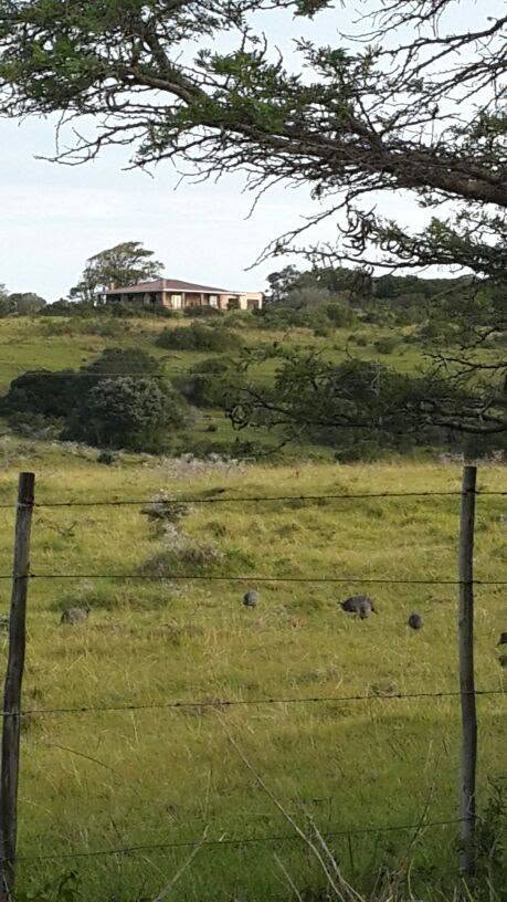 The Bellevue Lodge homestead sitting atop a hill, surrounded by rolling green farmland and native trees