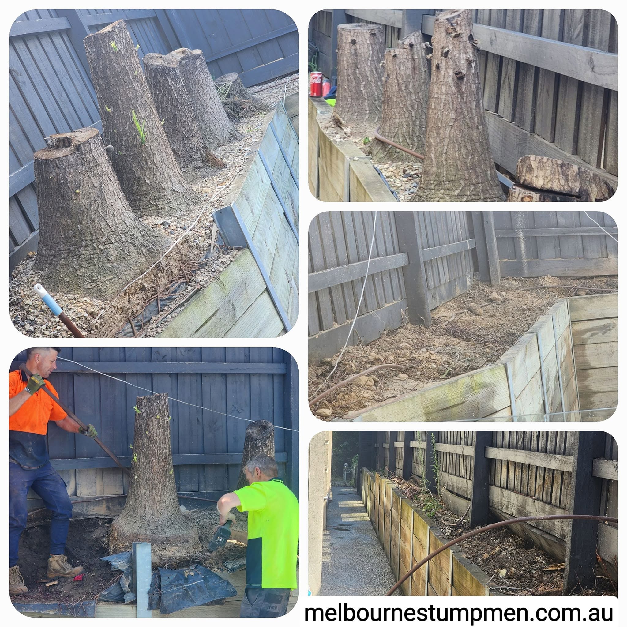 Large tree stumps removed from a Melbourne backyard, before and after