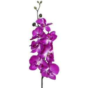 Orchard Family Day Care orchid logo