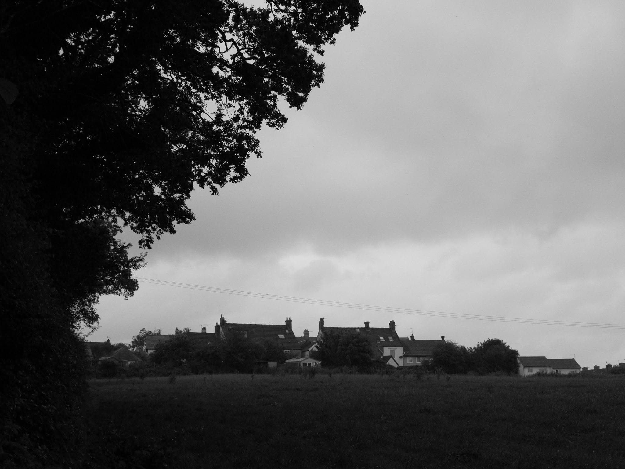Black and white moody landscape of a rural village seen across a misty field with a tree