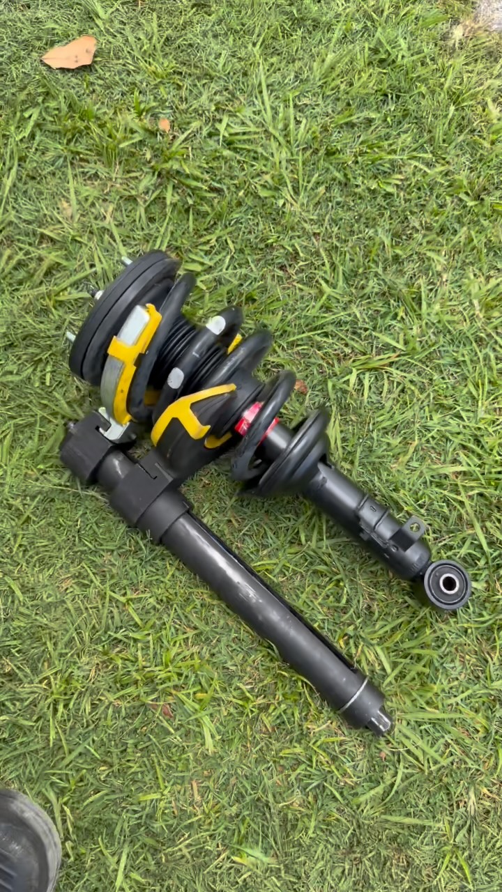 Vehicle suspension struts and coil springs removed for a repair, laid out on grass