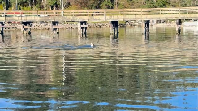 Calm harbour reflections at golden hour — the type of scene students learn to photograph in workshops