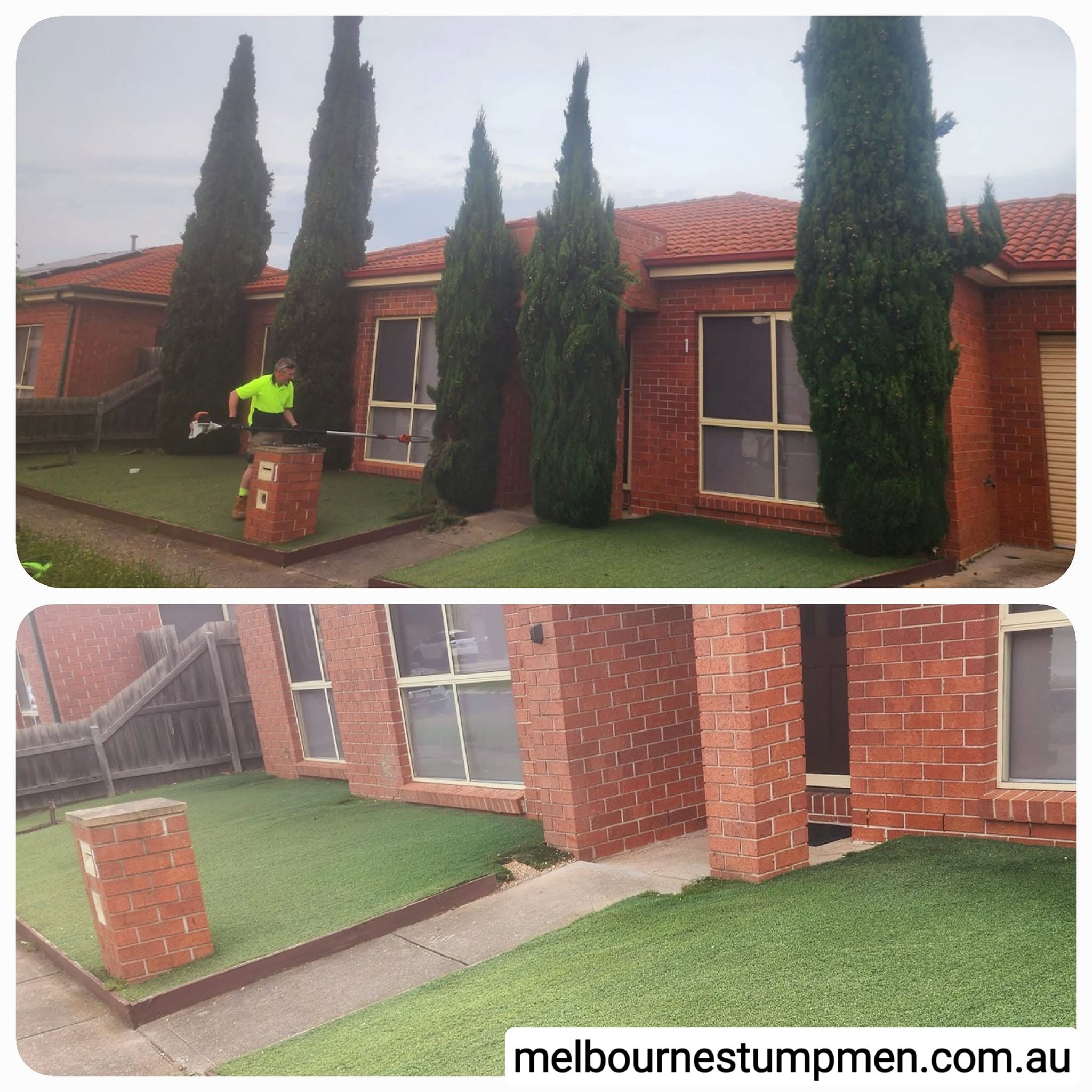 Melbourne Stump Men trimming an overgrown hedge outside a home