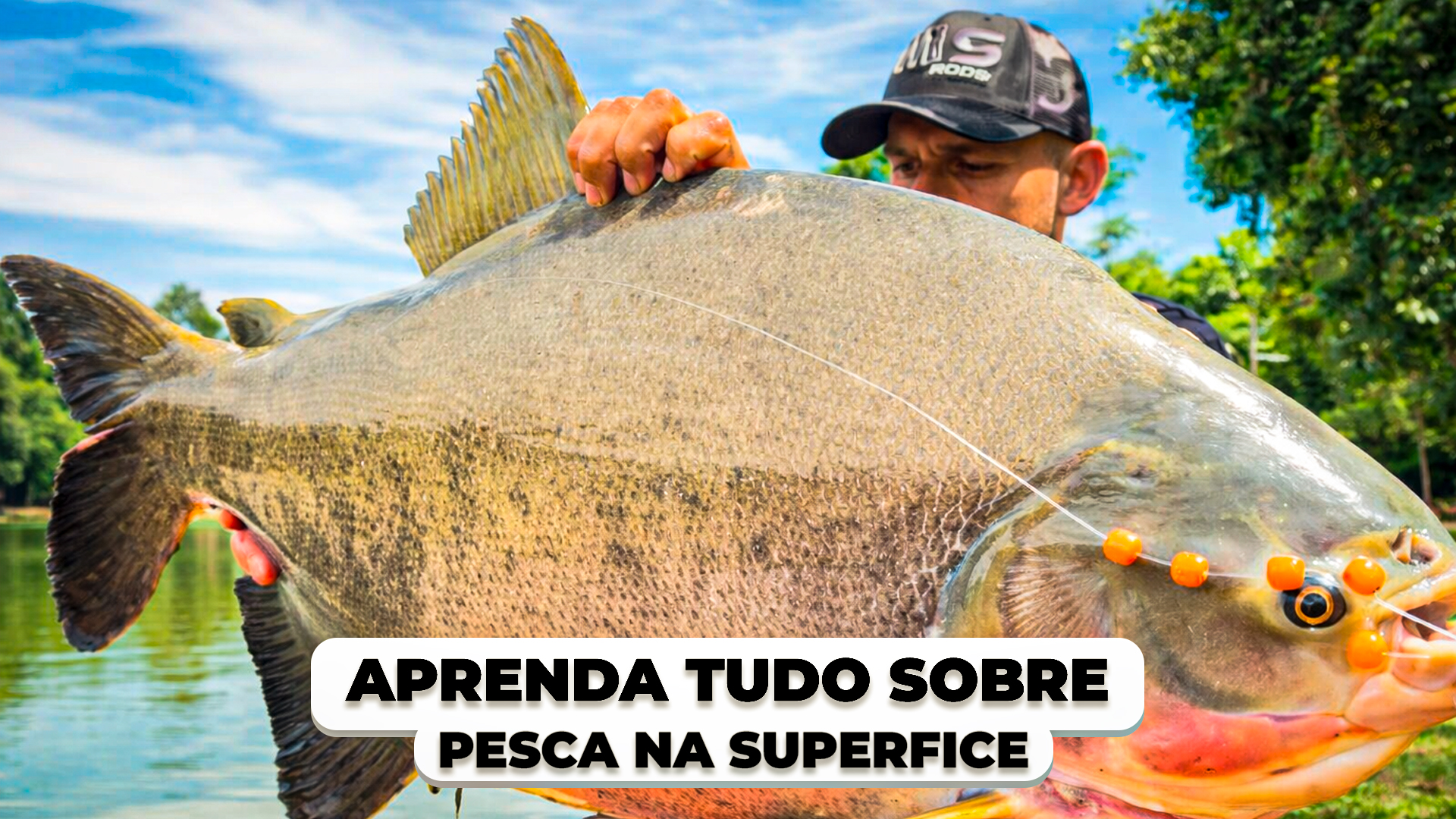 Thumbnail Pesca na Superfície
