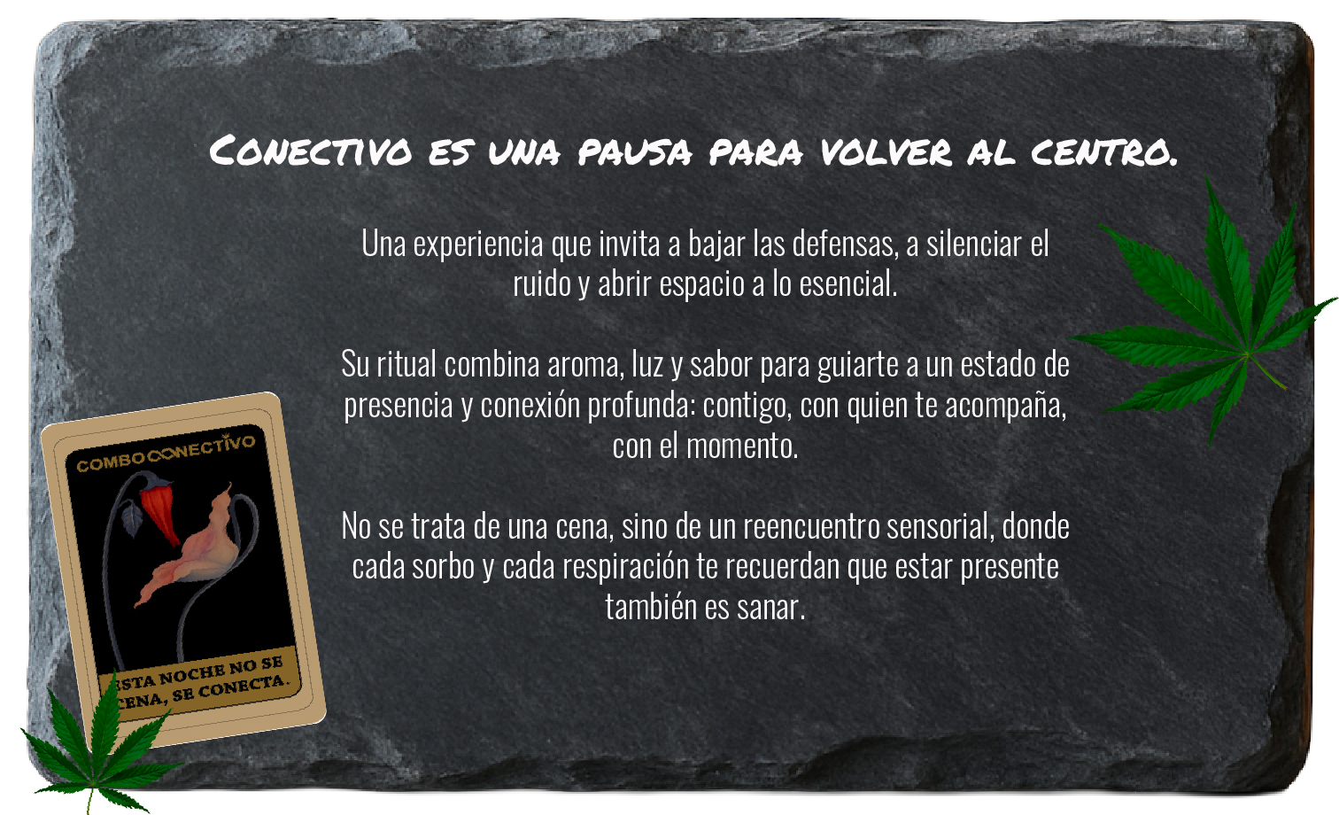CONECTIVO - details