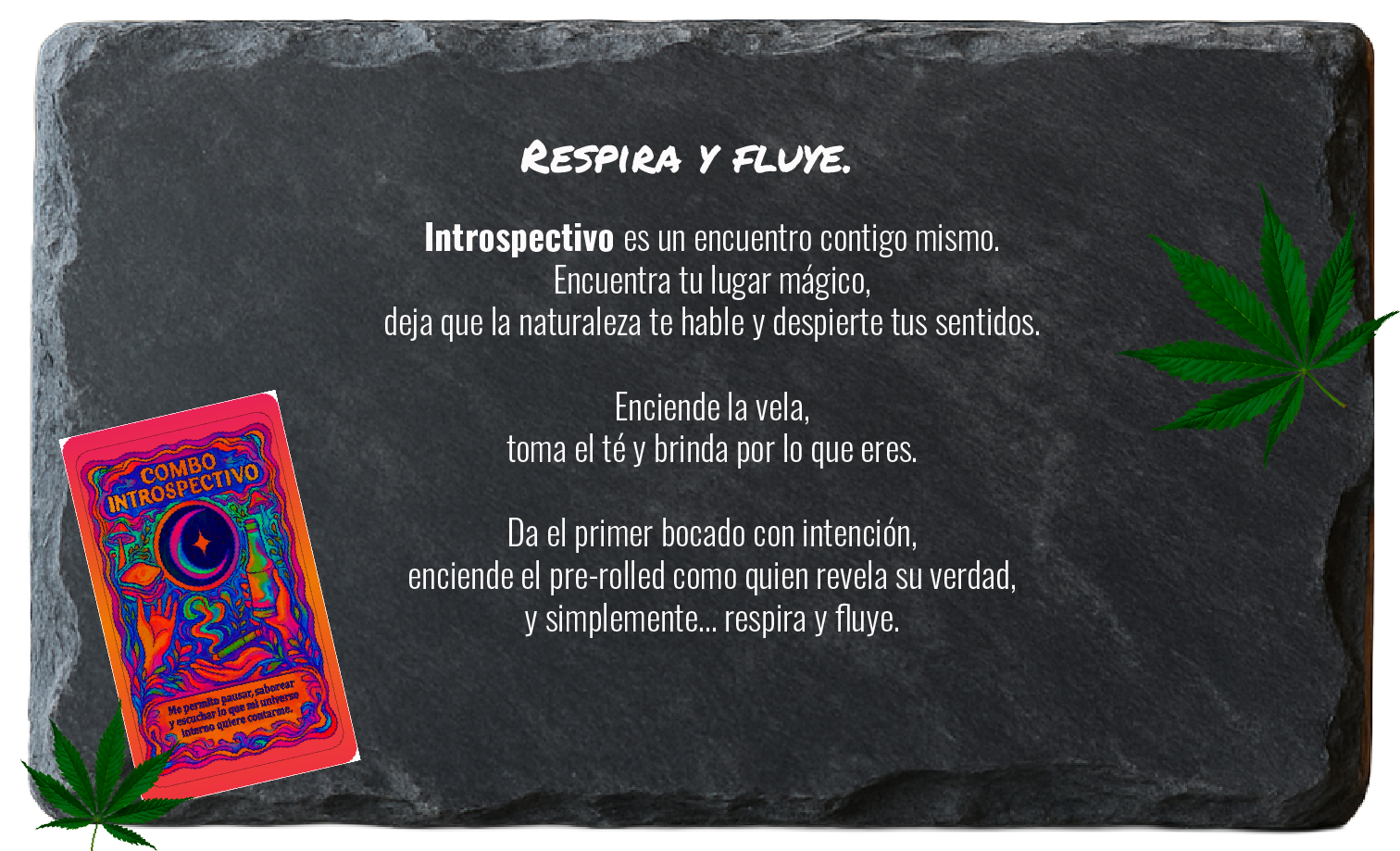 INTROSPECTIVO - details