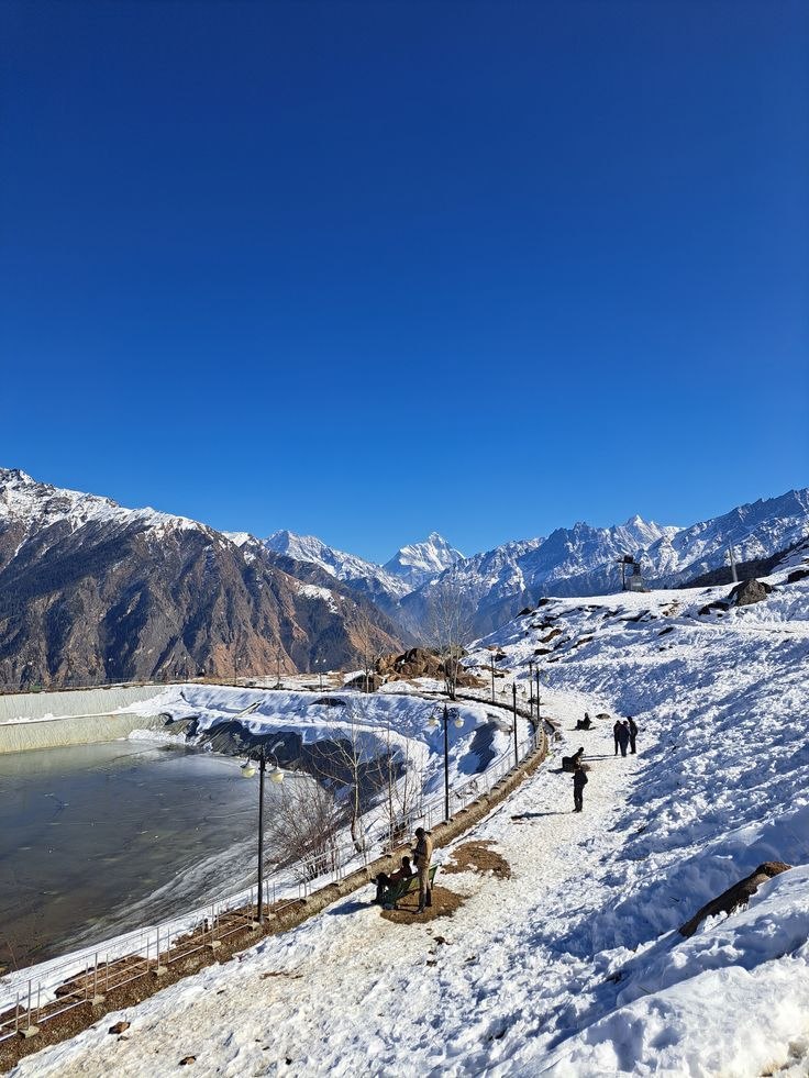 Auli