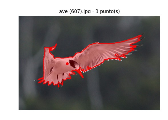 Monitoreo en tiempo real de aves