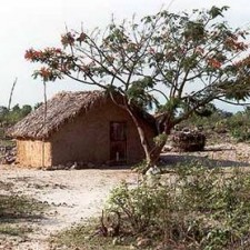 Traditionelle Lehmhütte mit Strohdach