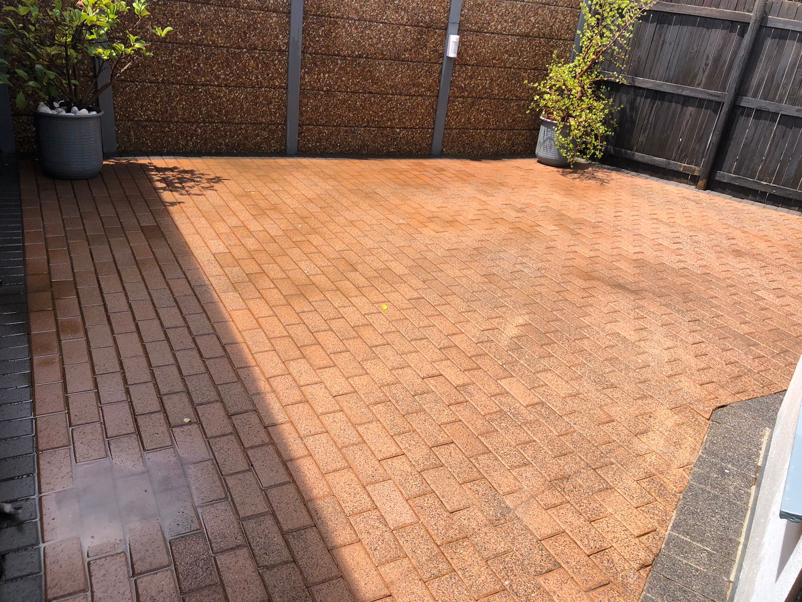 Backyard Patio after