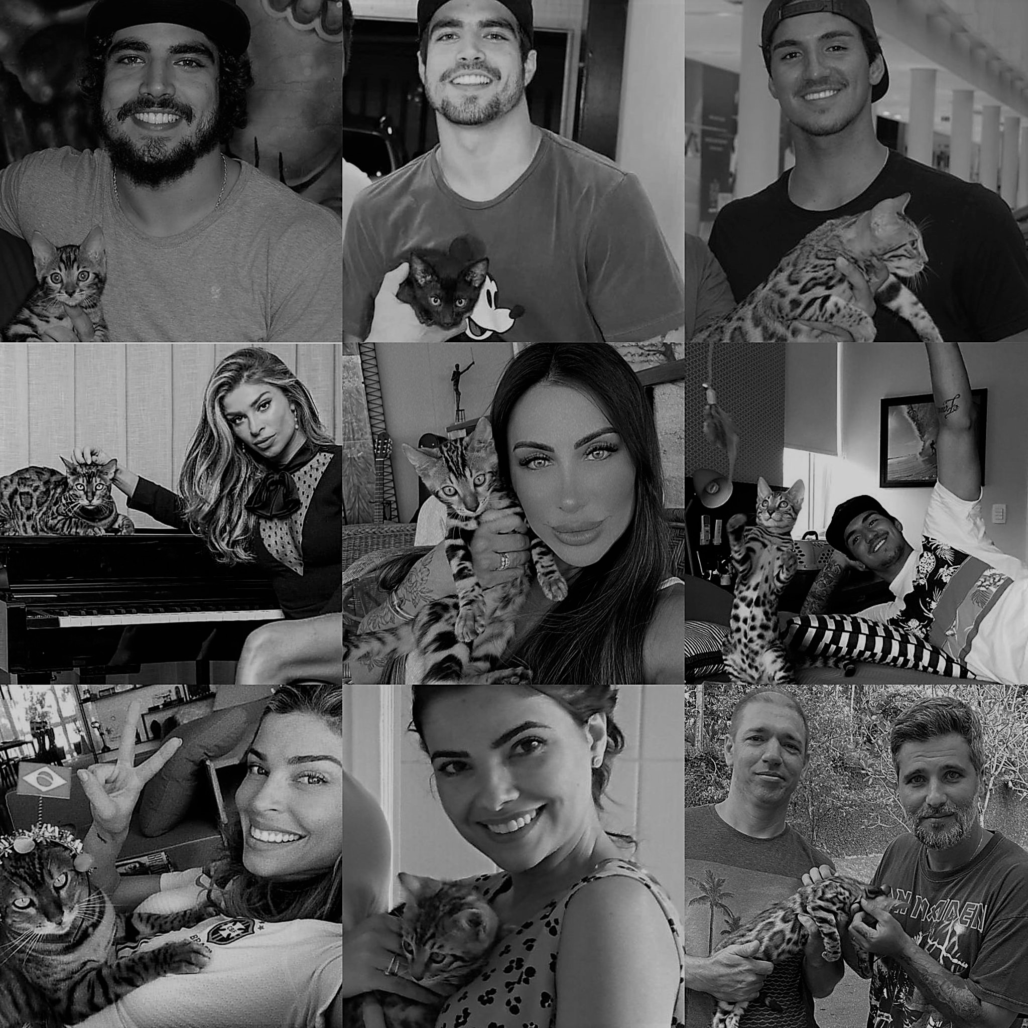 Celebridades clientes do Gatil Bengal Rio de Janeiro