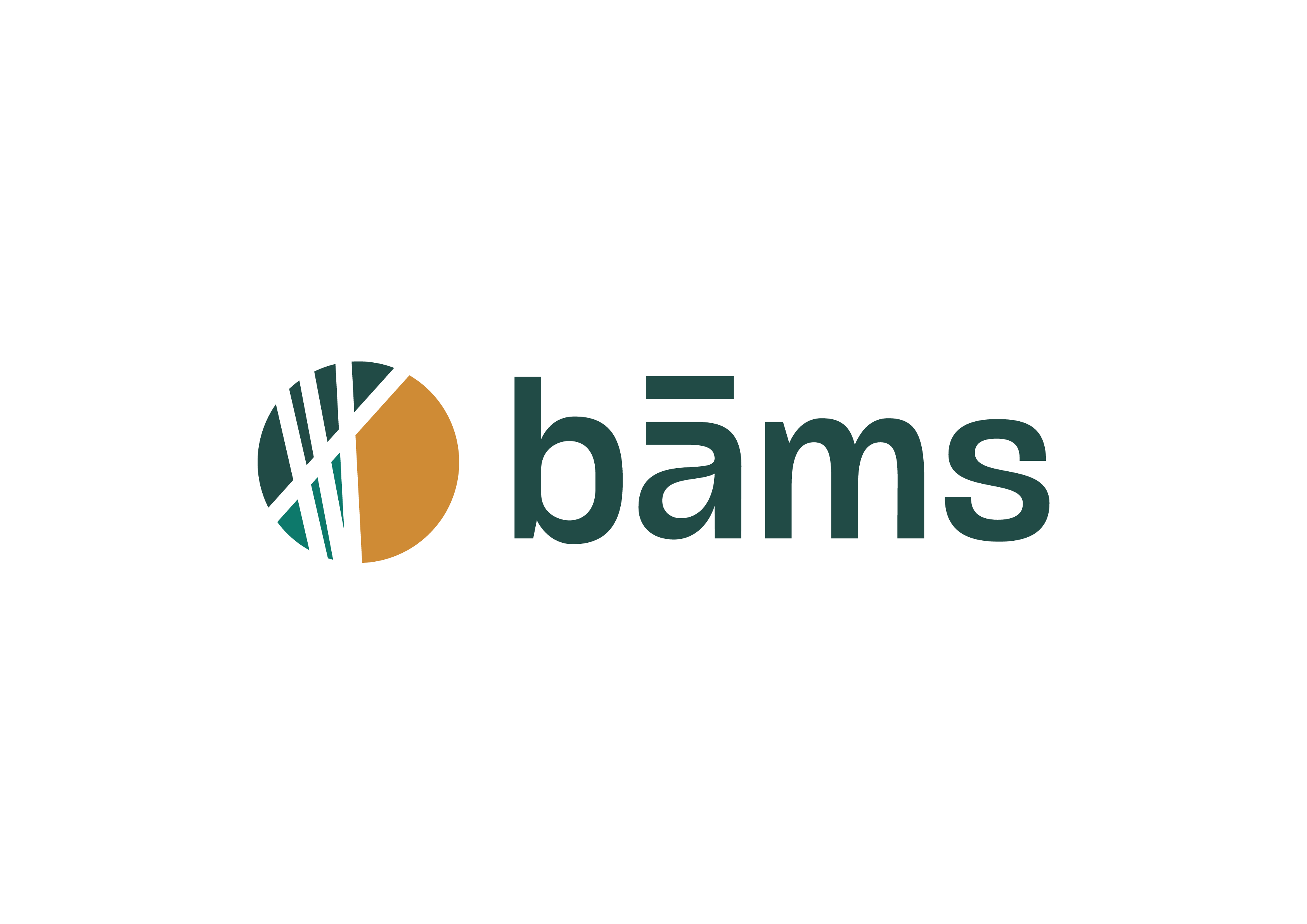 bāms bamboo co.