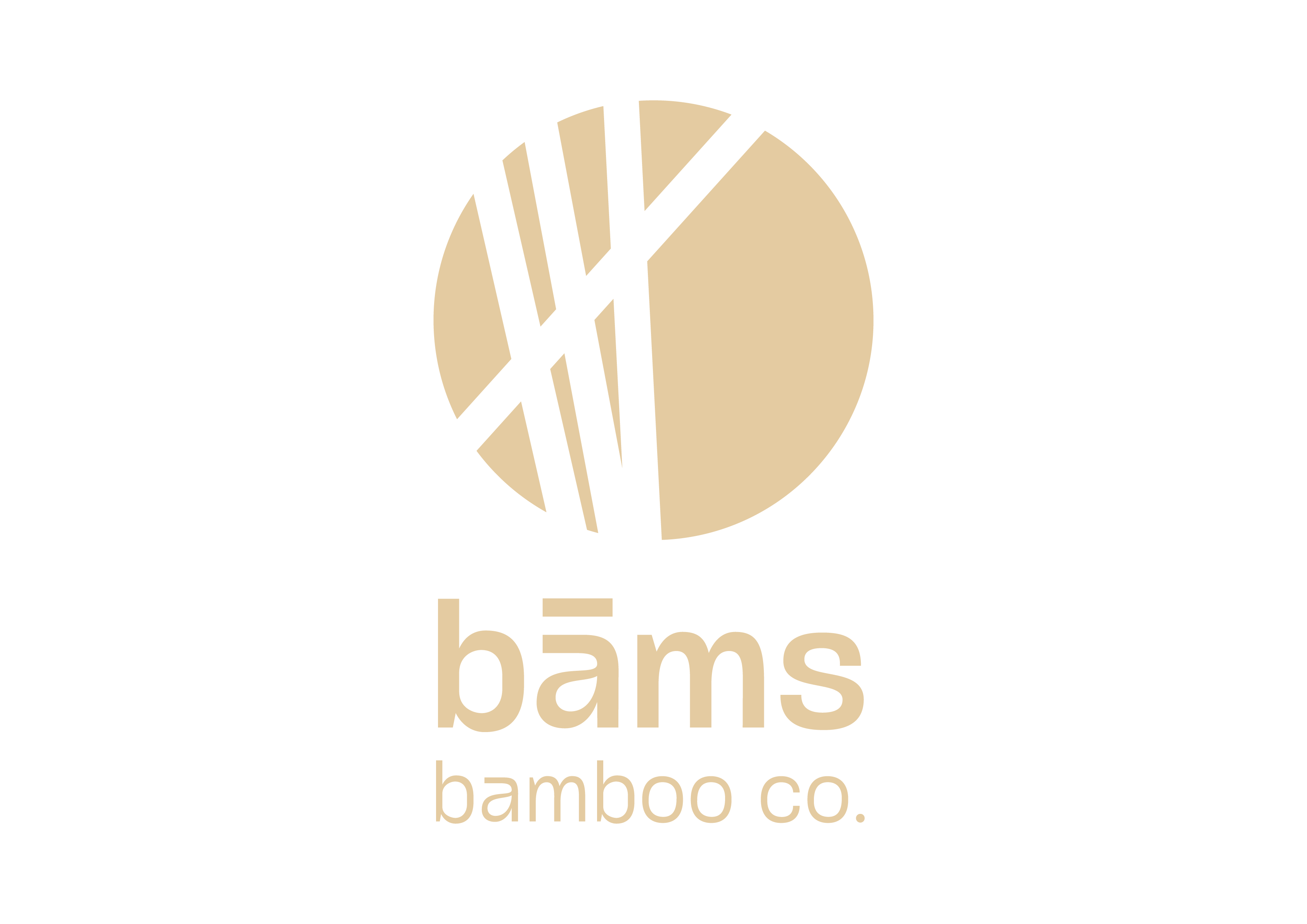 bāms bamboo co.